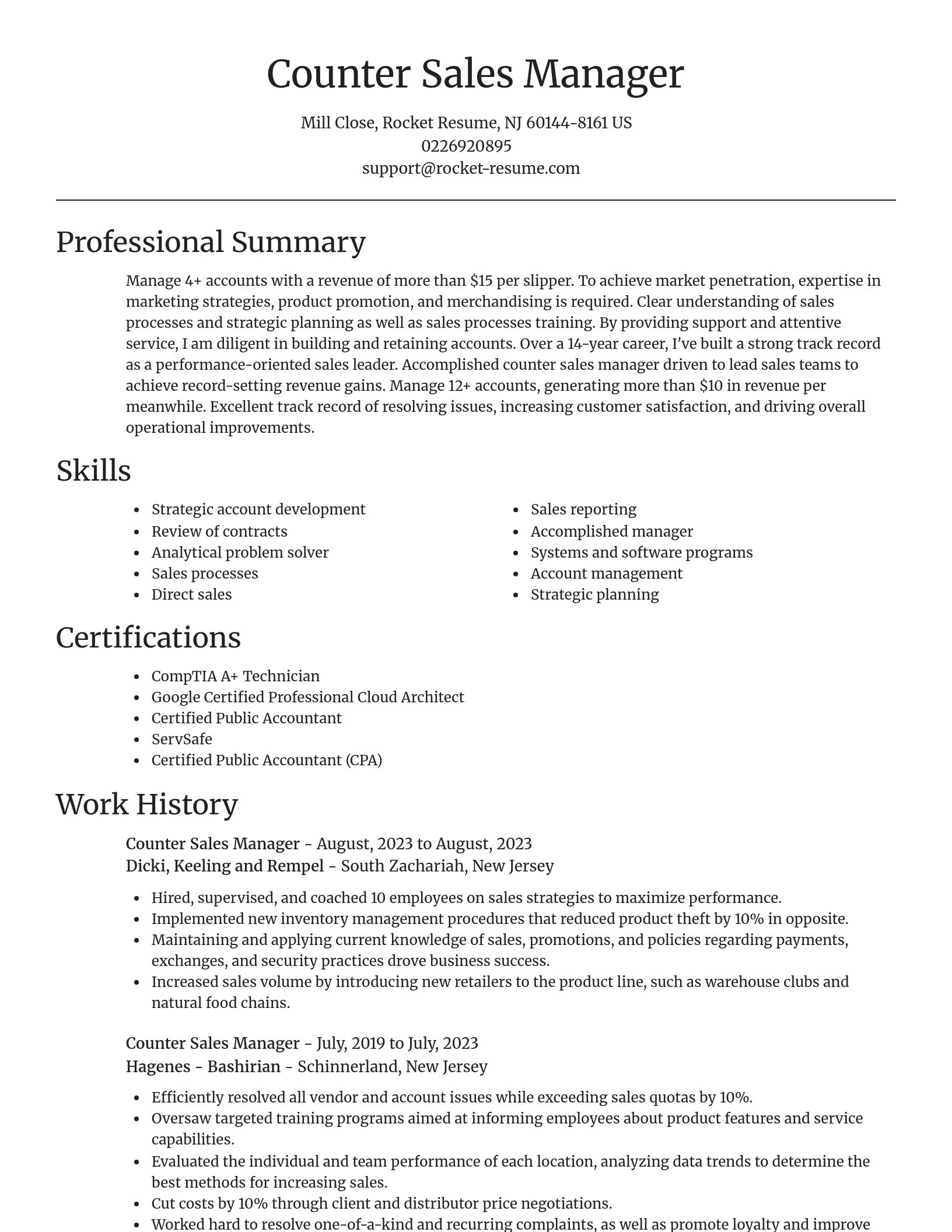Focal Point resume template