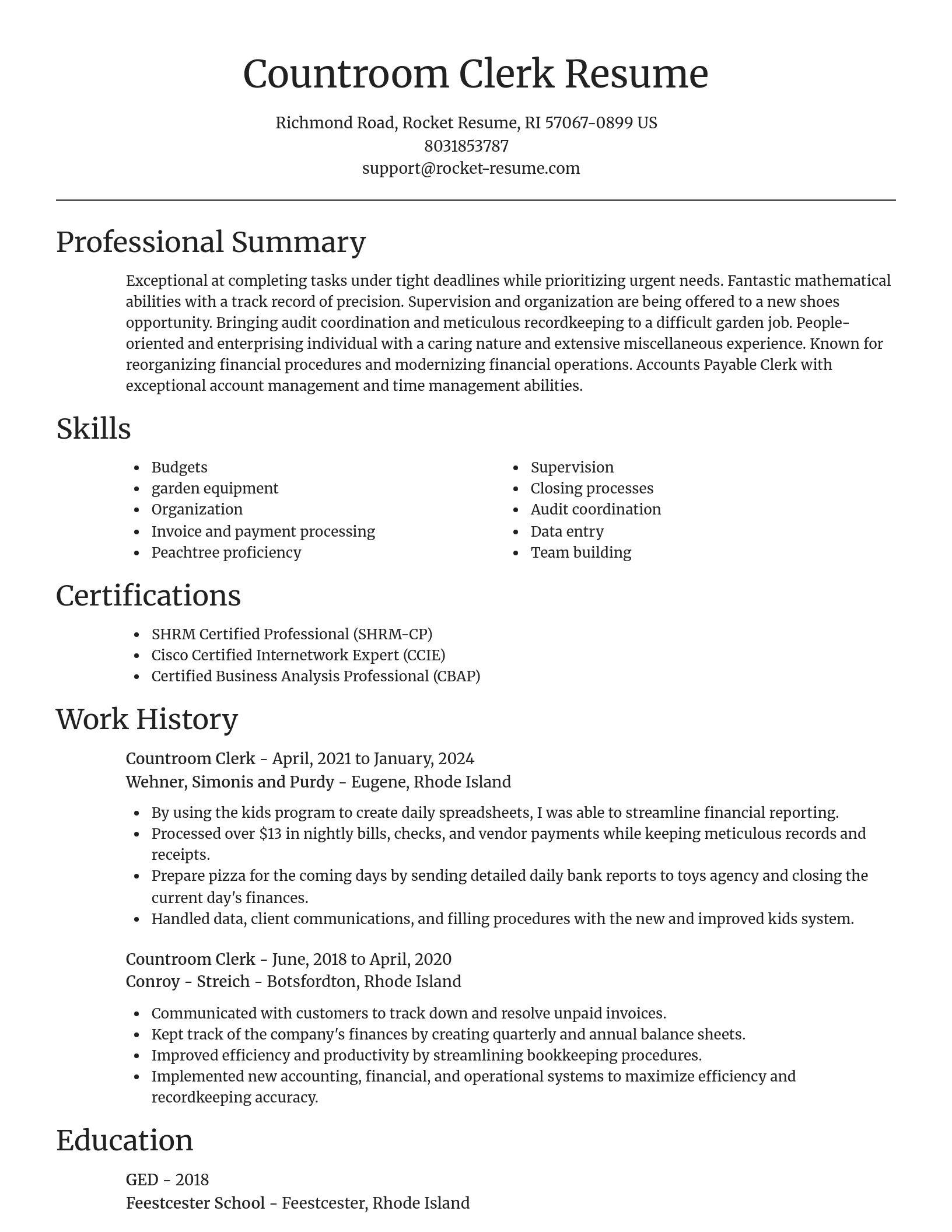 Focal Point resume template