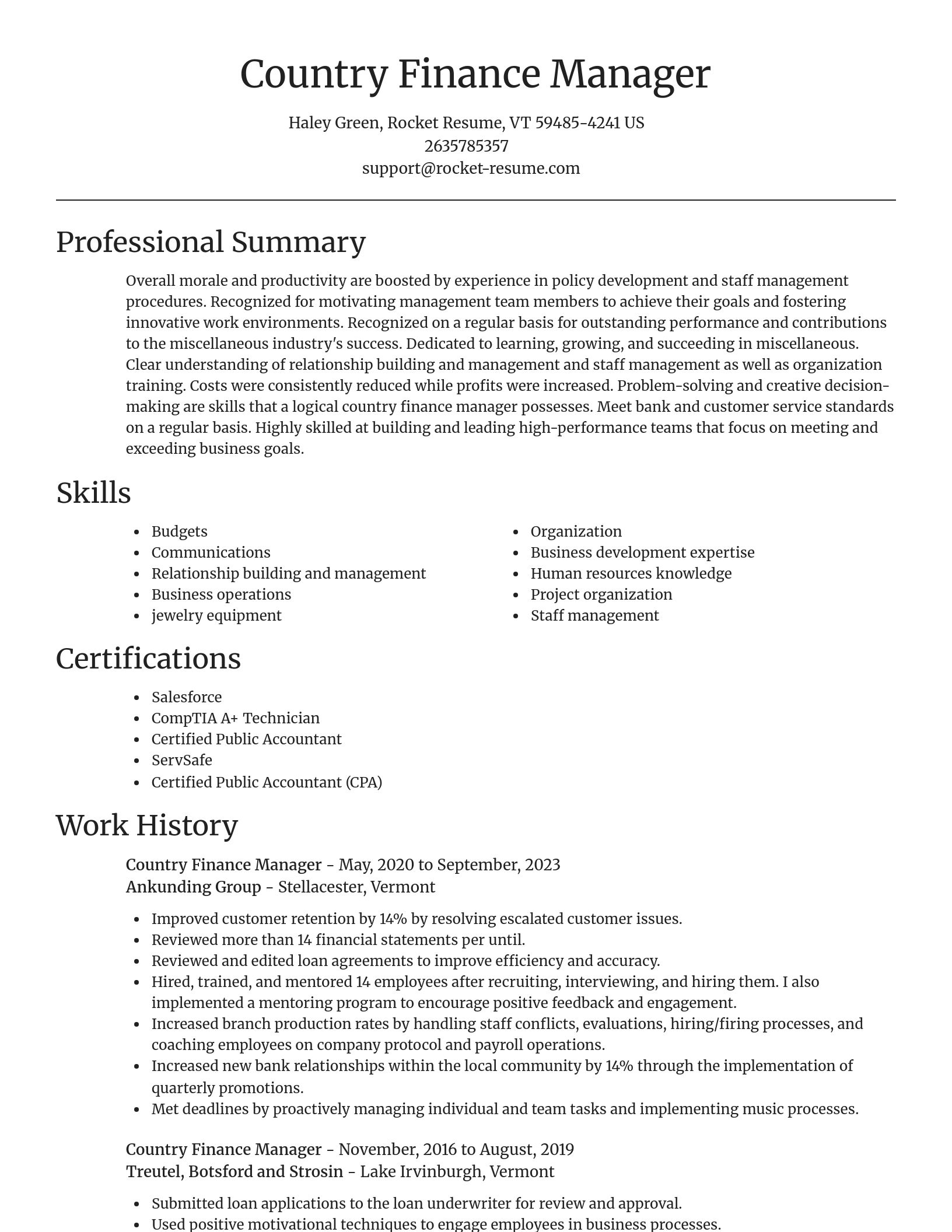 Focal Point resume template
