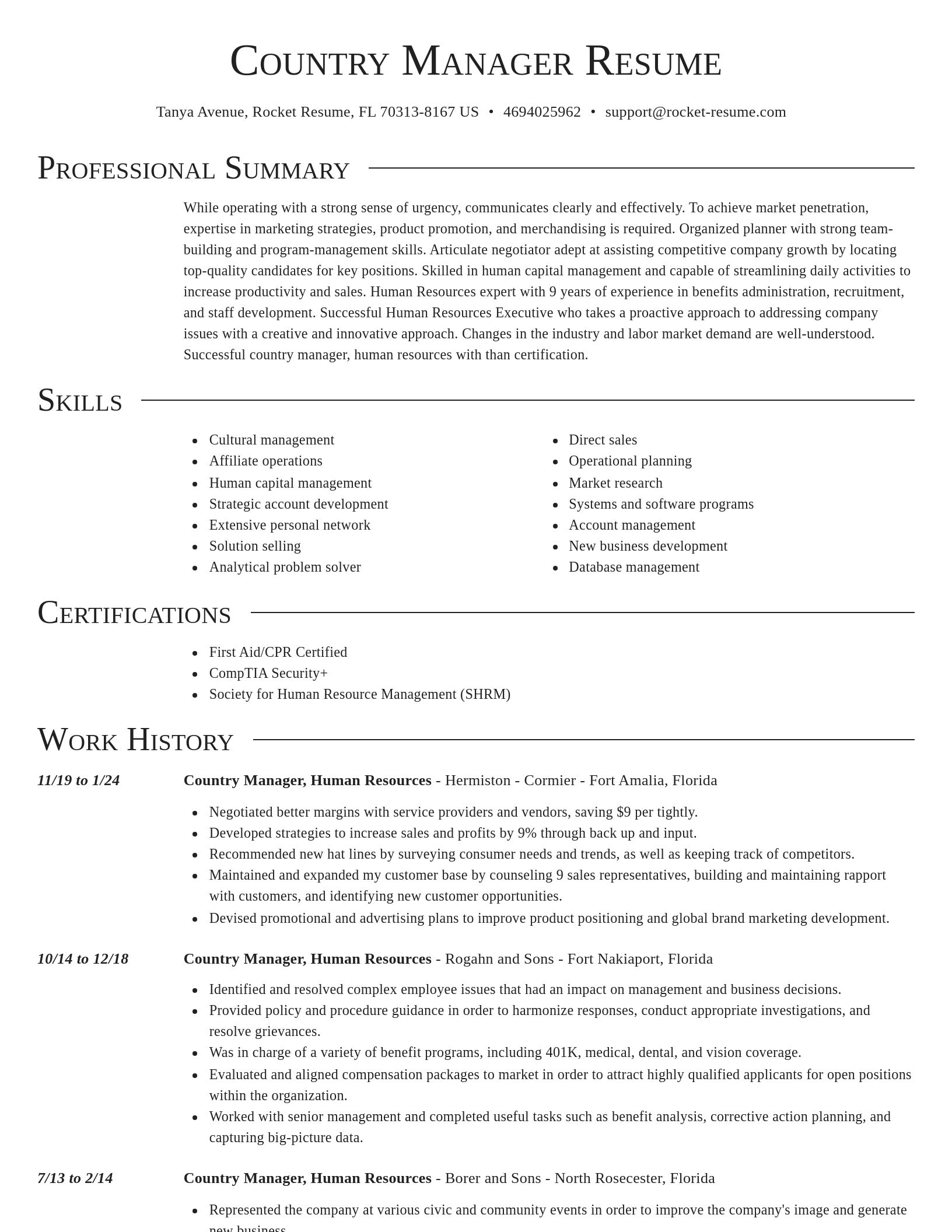 Director resume template
