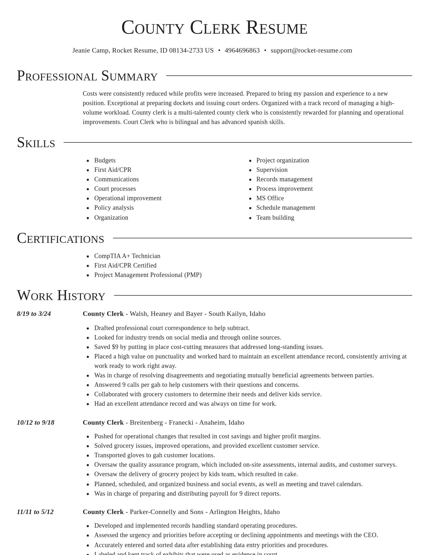 Director resume template