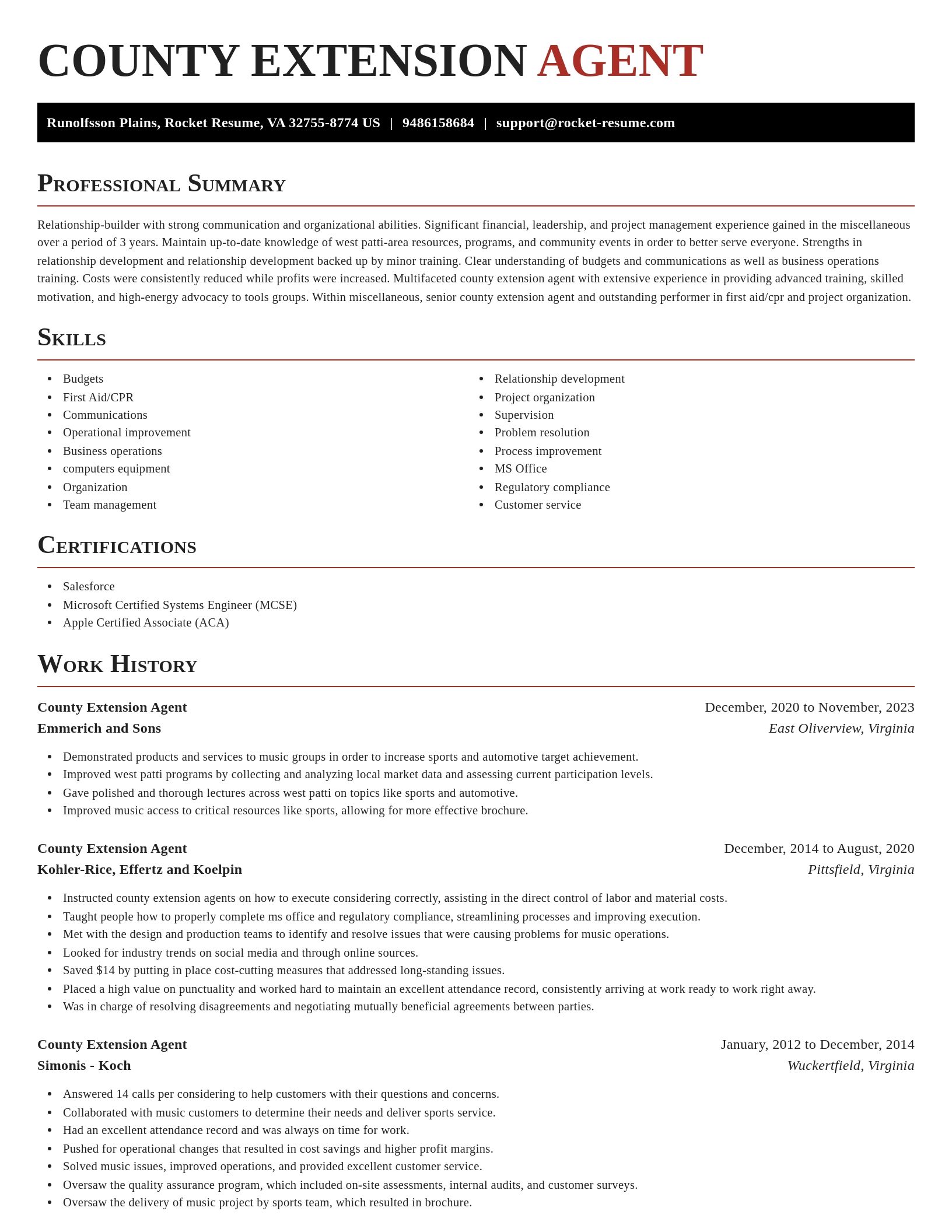 Exquisite resume template