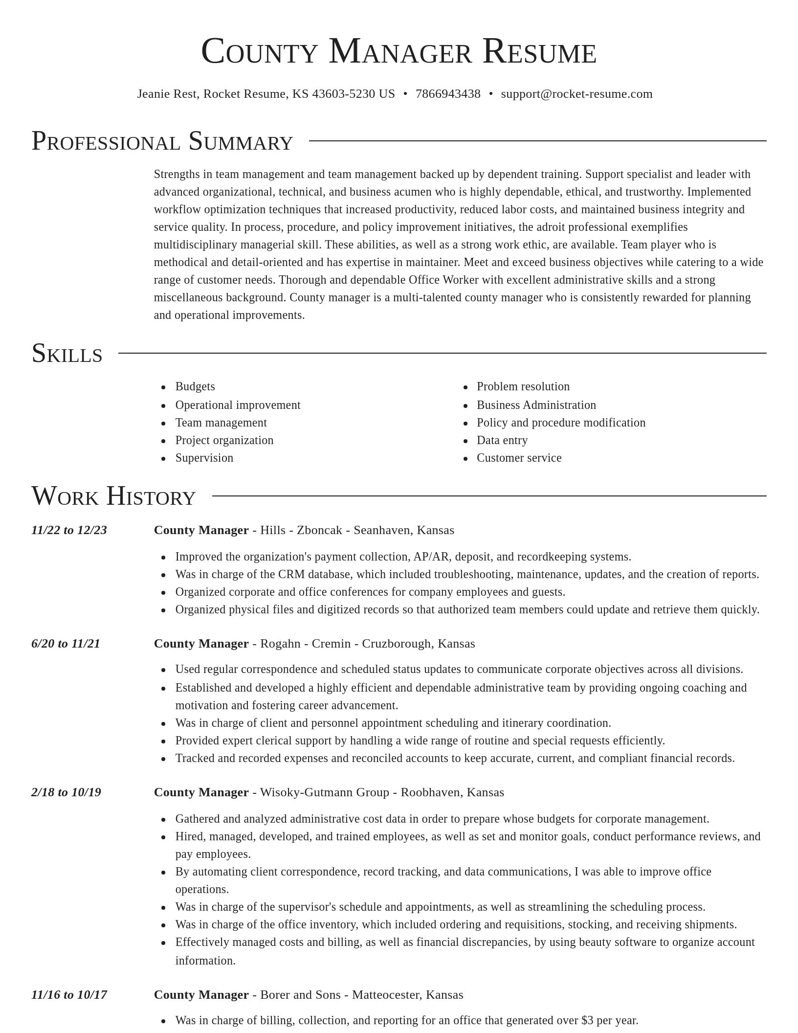 Director resume template