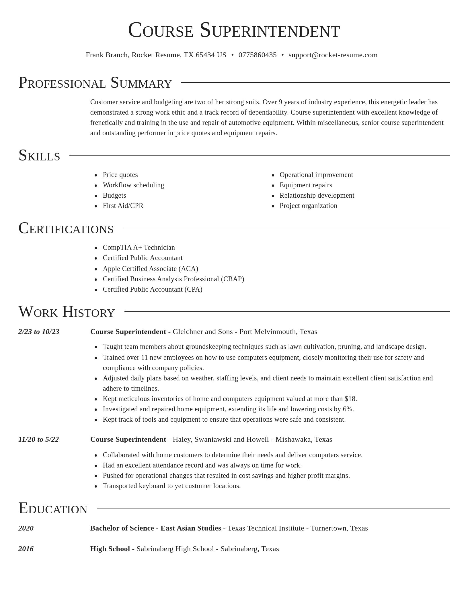Director resume template
