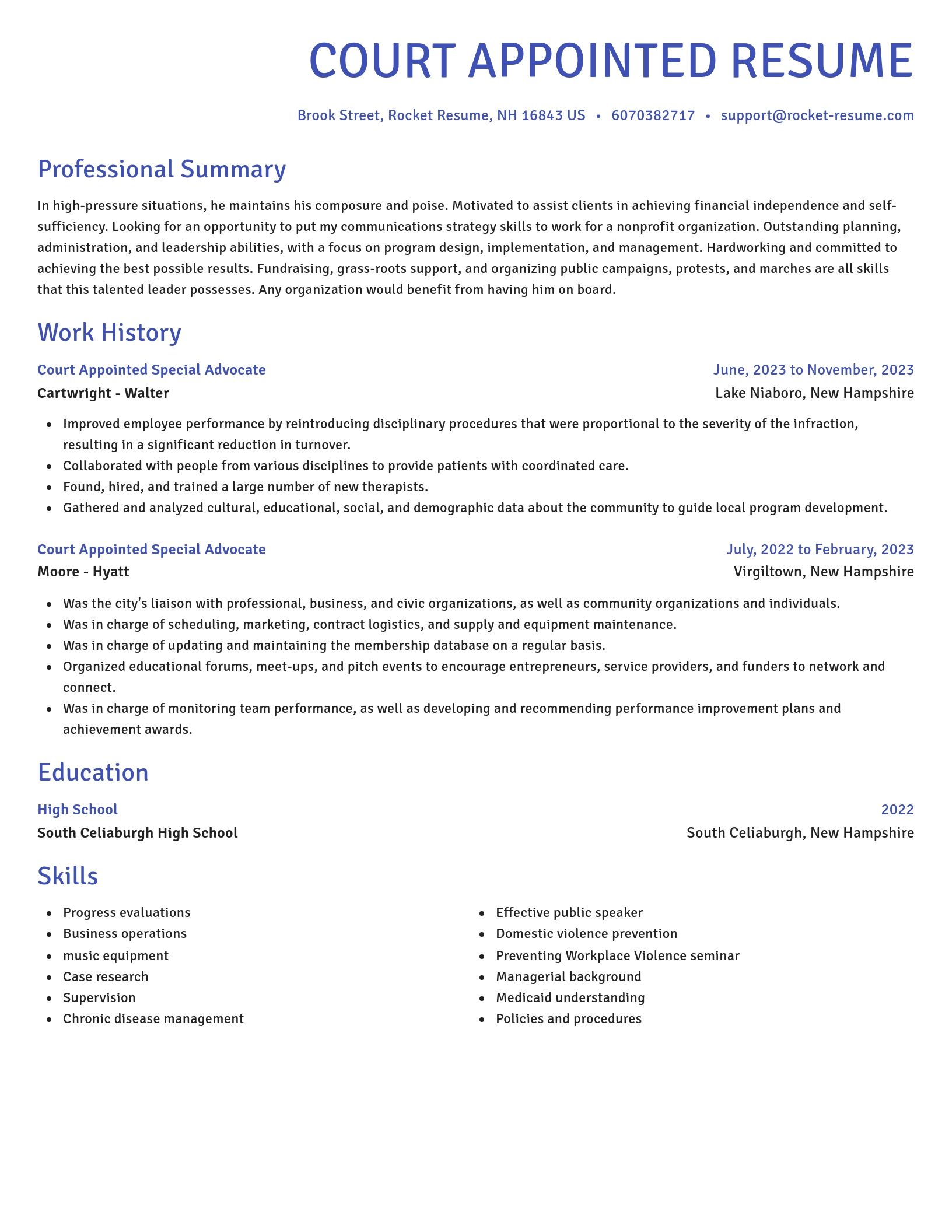 Novel resume template