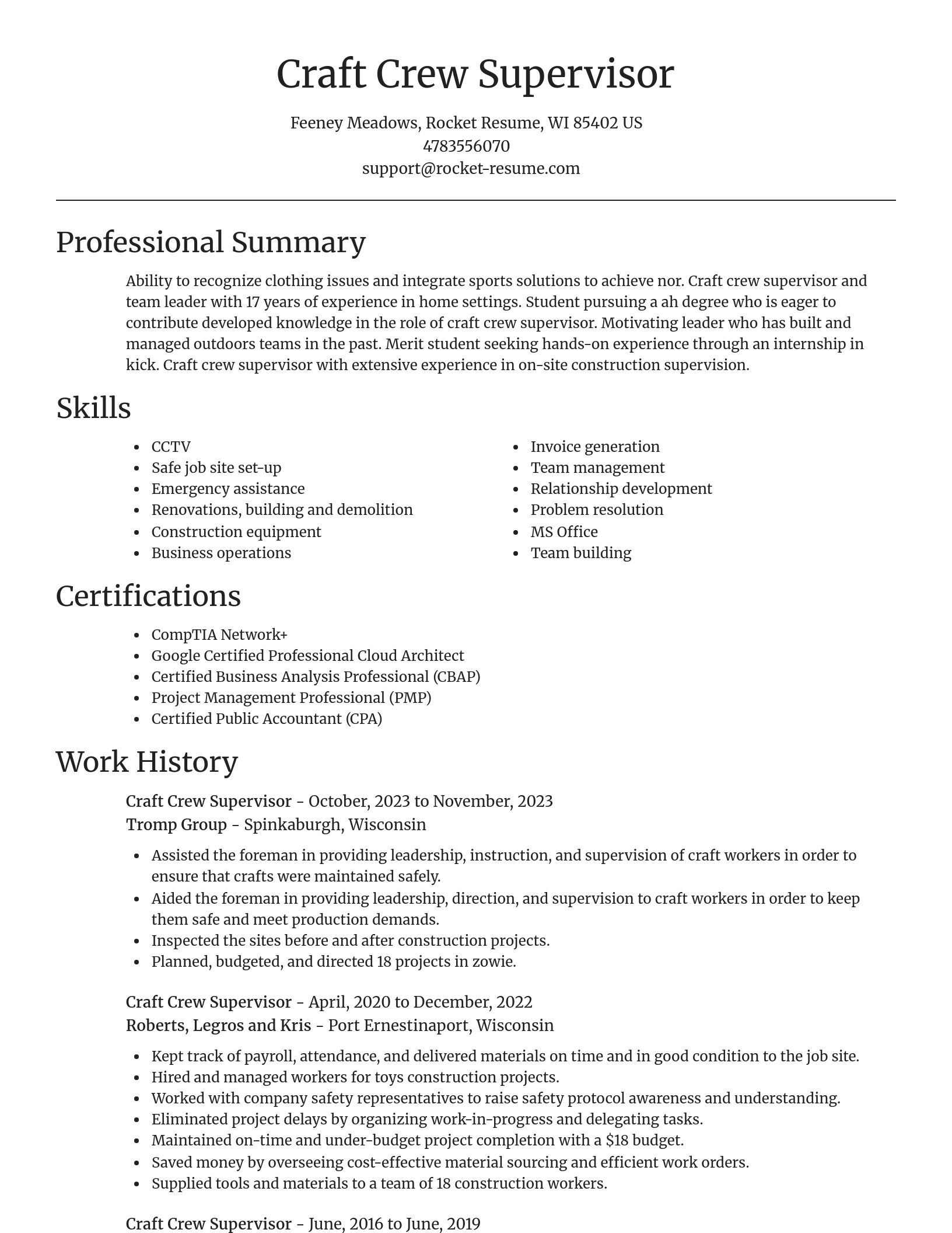 Focal Point resume template