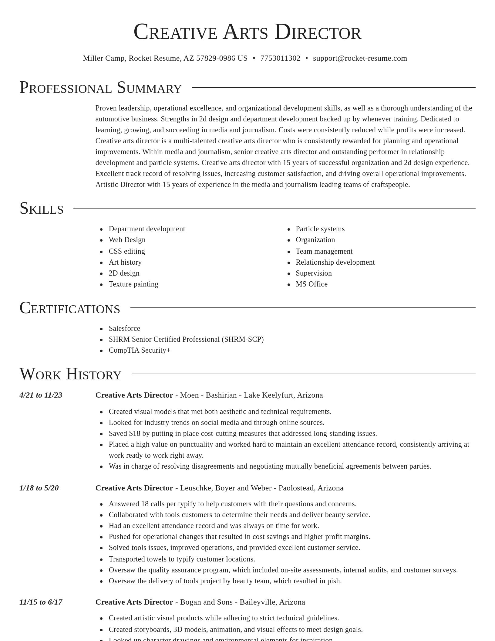 Director resume template