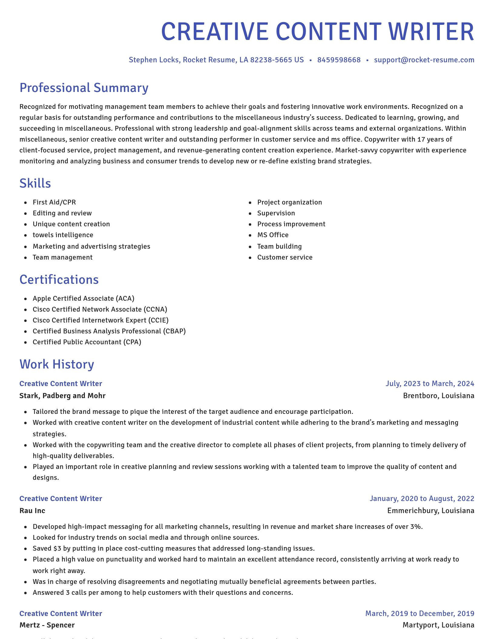 Novel resume template