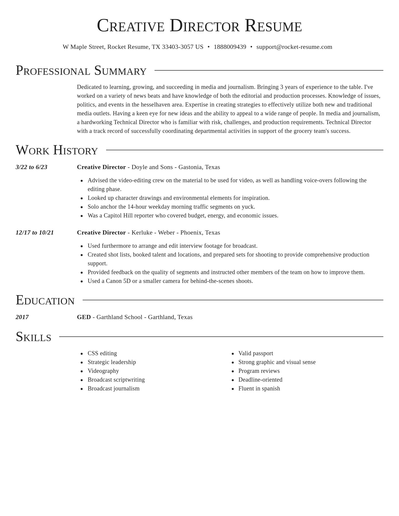 Director resume template