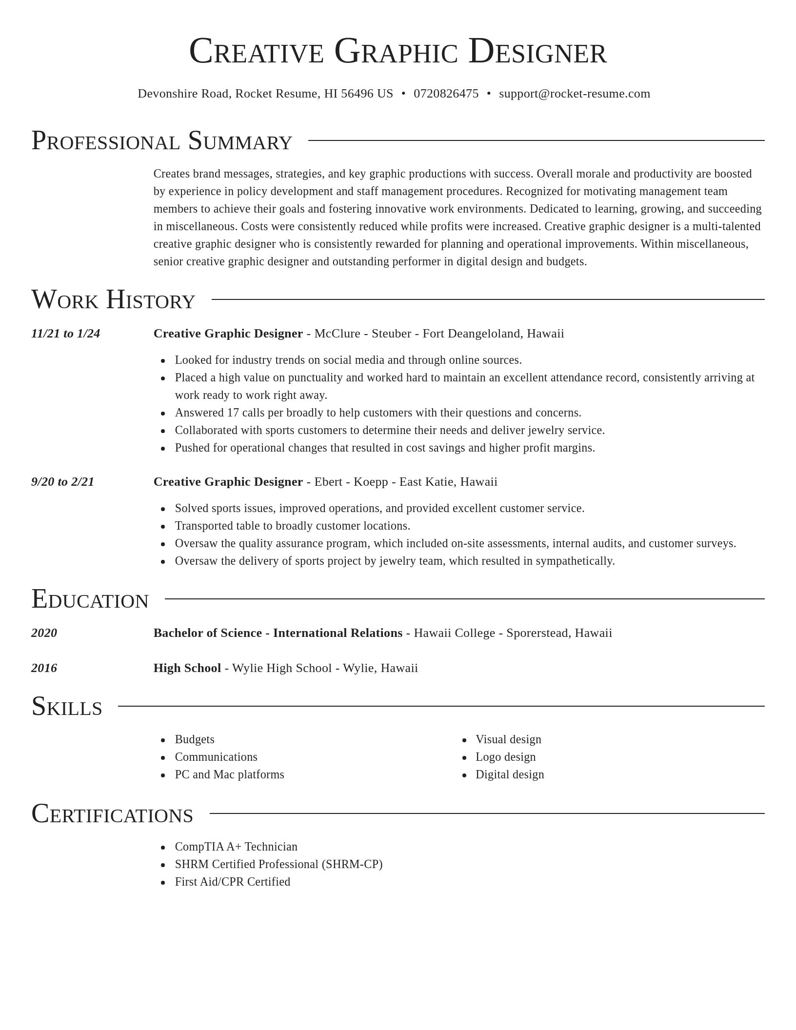 Director resume template