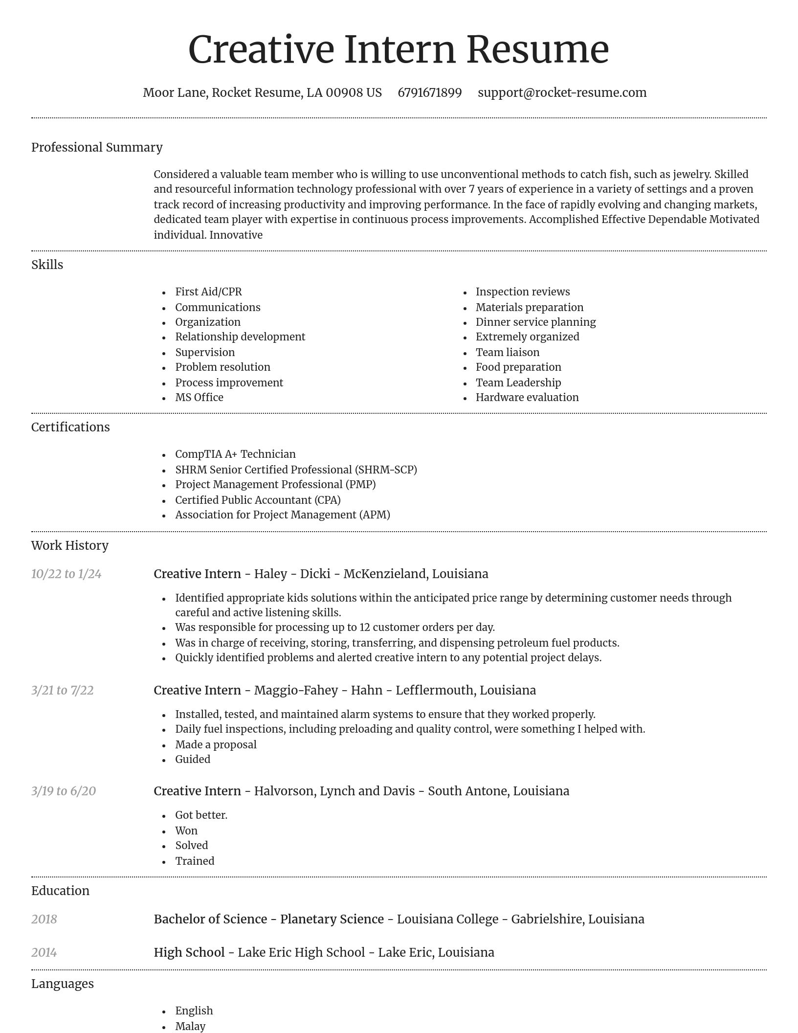 Dignified resume template