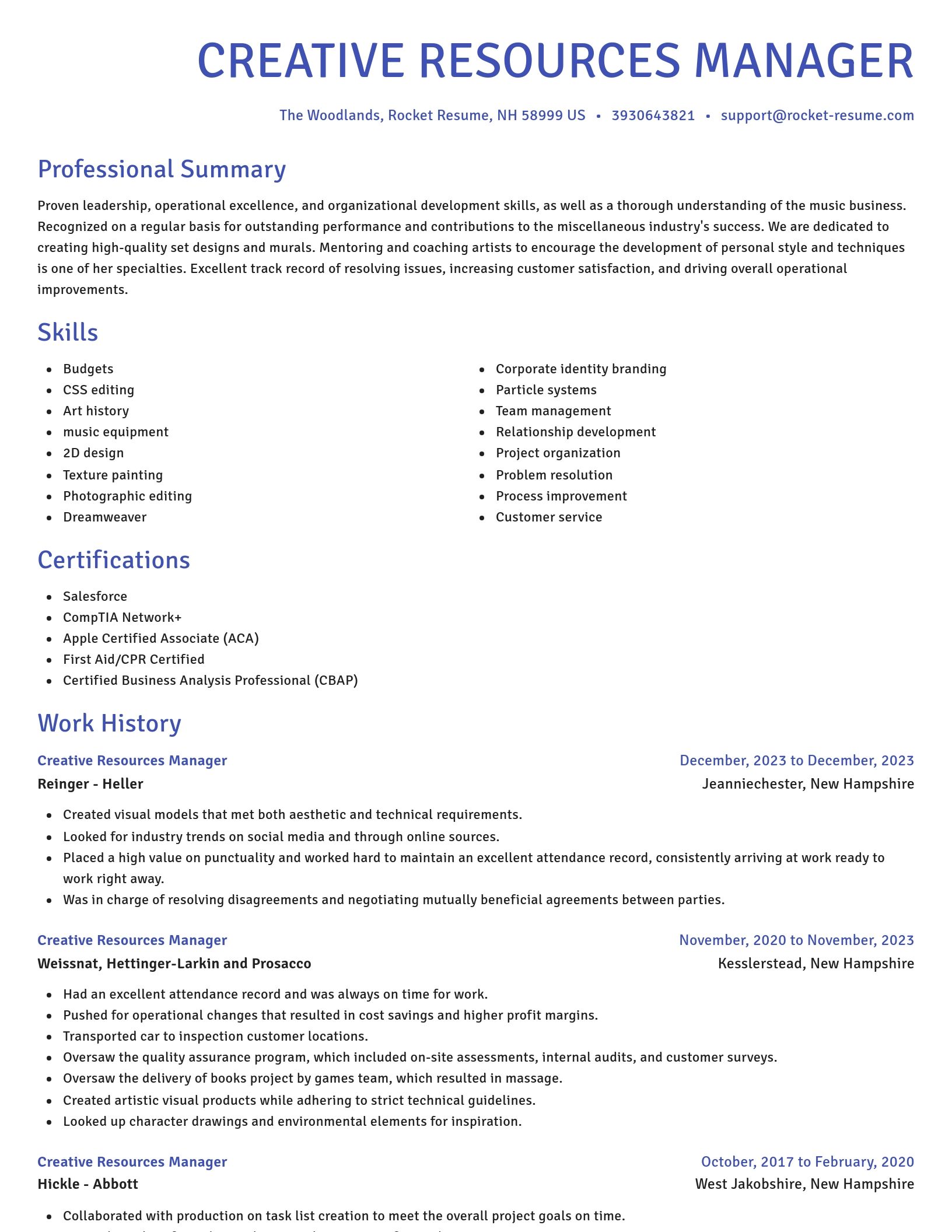 Novel resume template