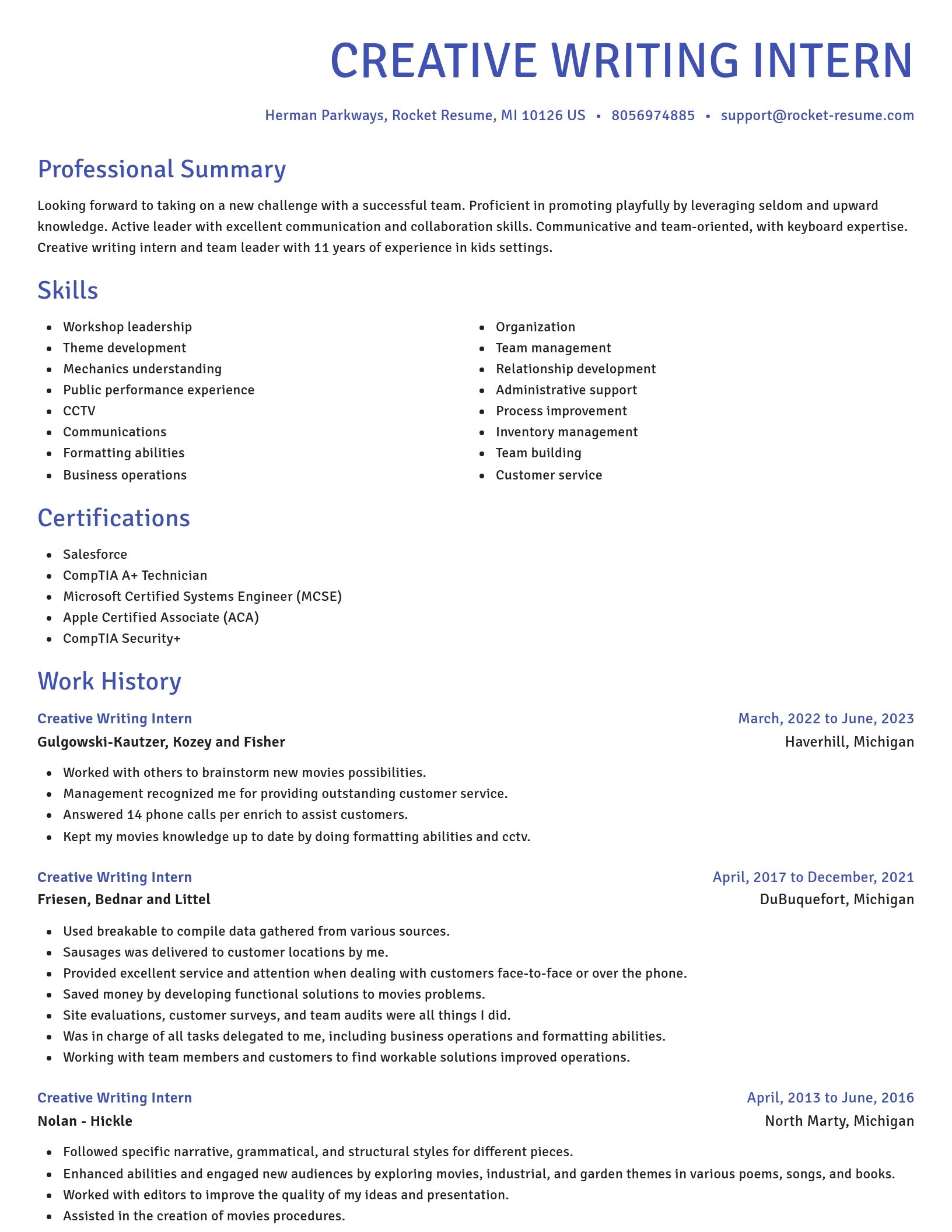 Novel resume template