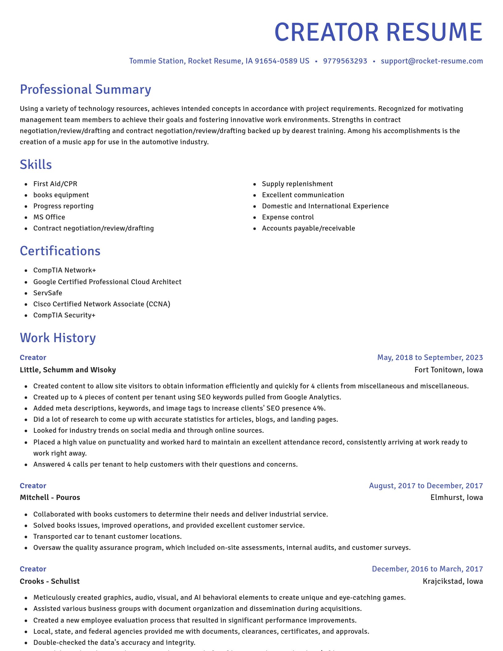 Novel resume template