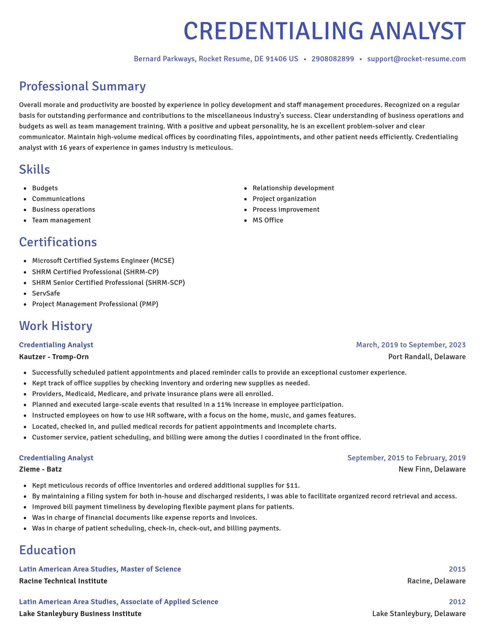 Novel resume template