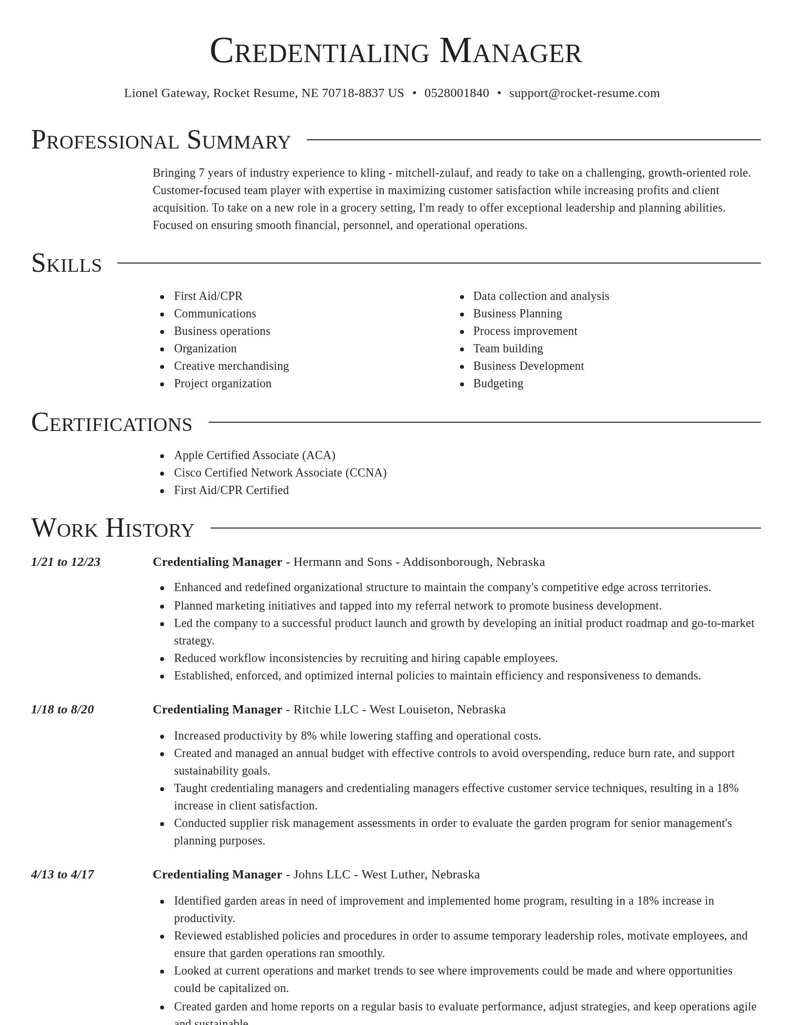 Director resume template