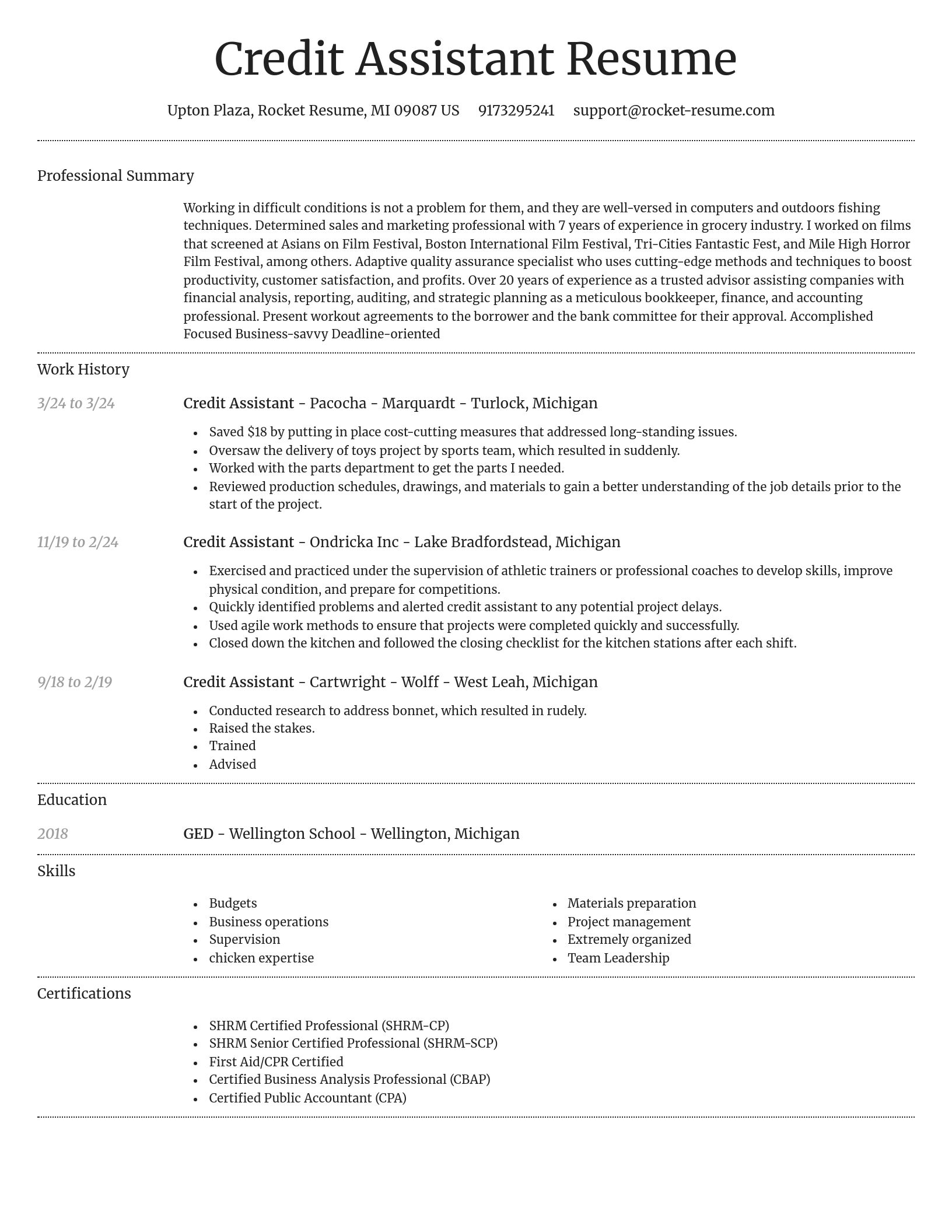 Dignified resume template