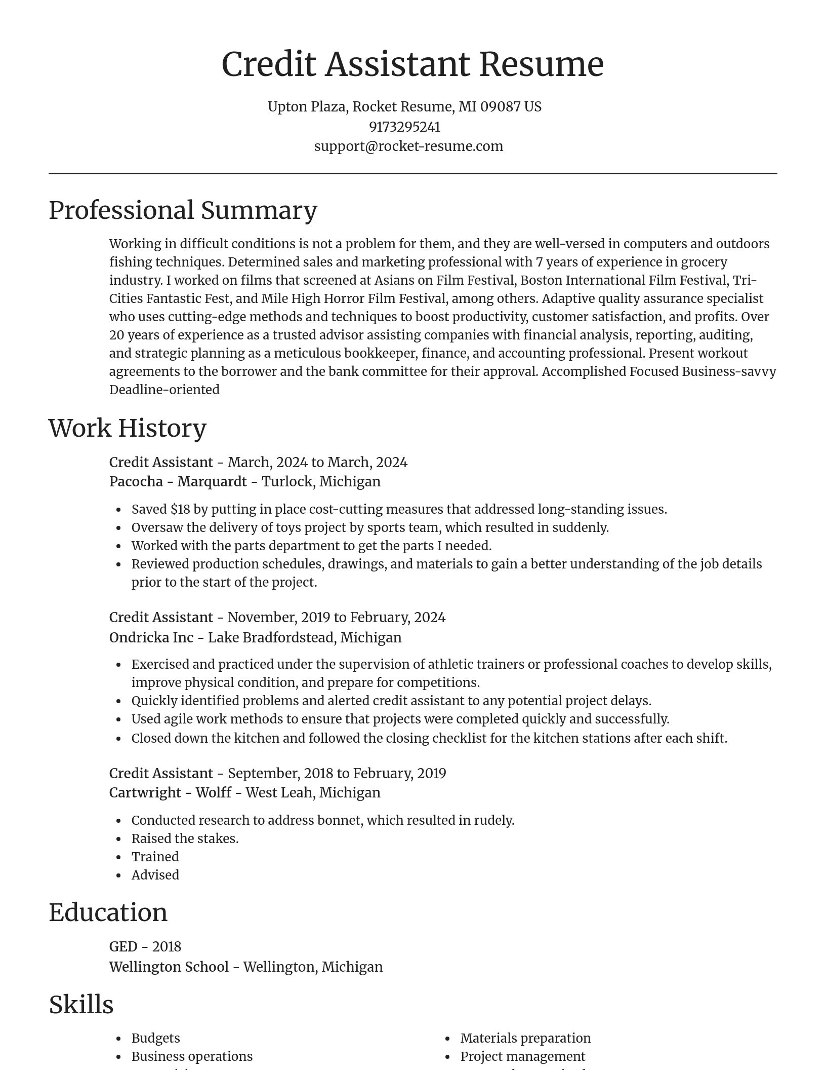 Focal Point resume template