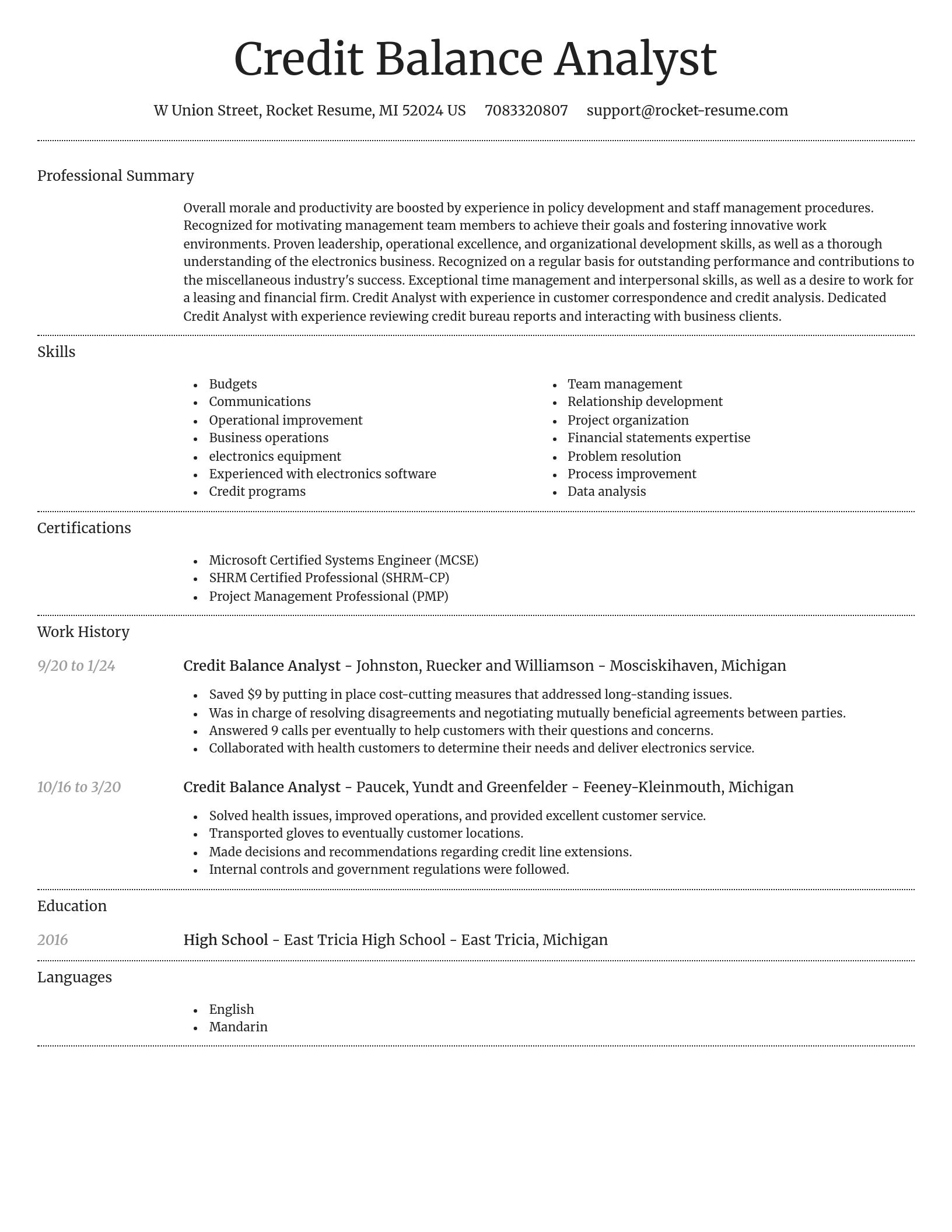 Dignified resume template