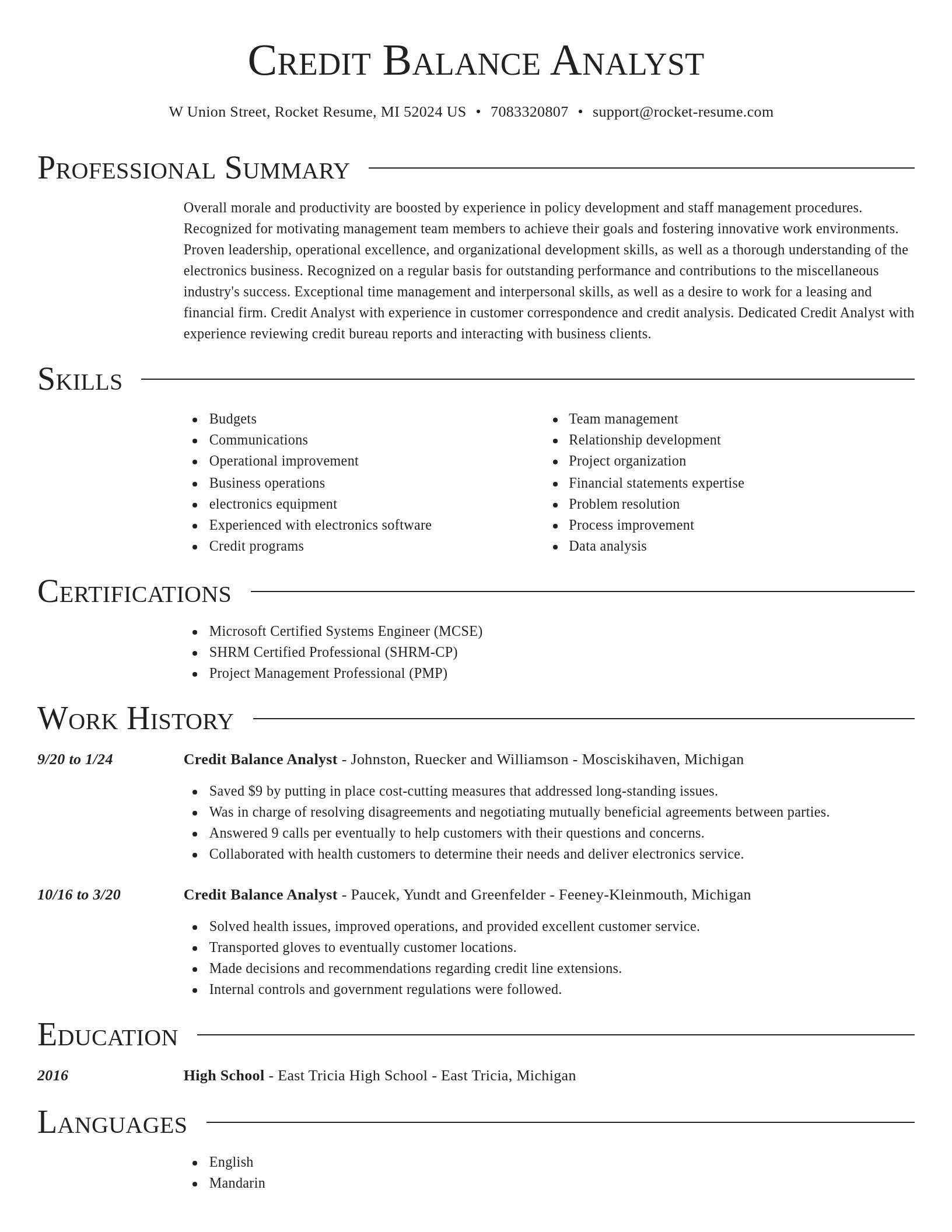 Director resume template