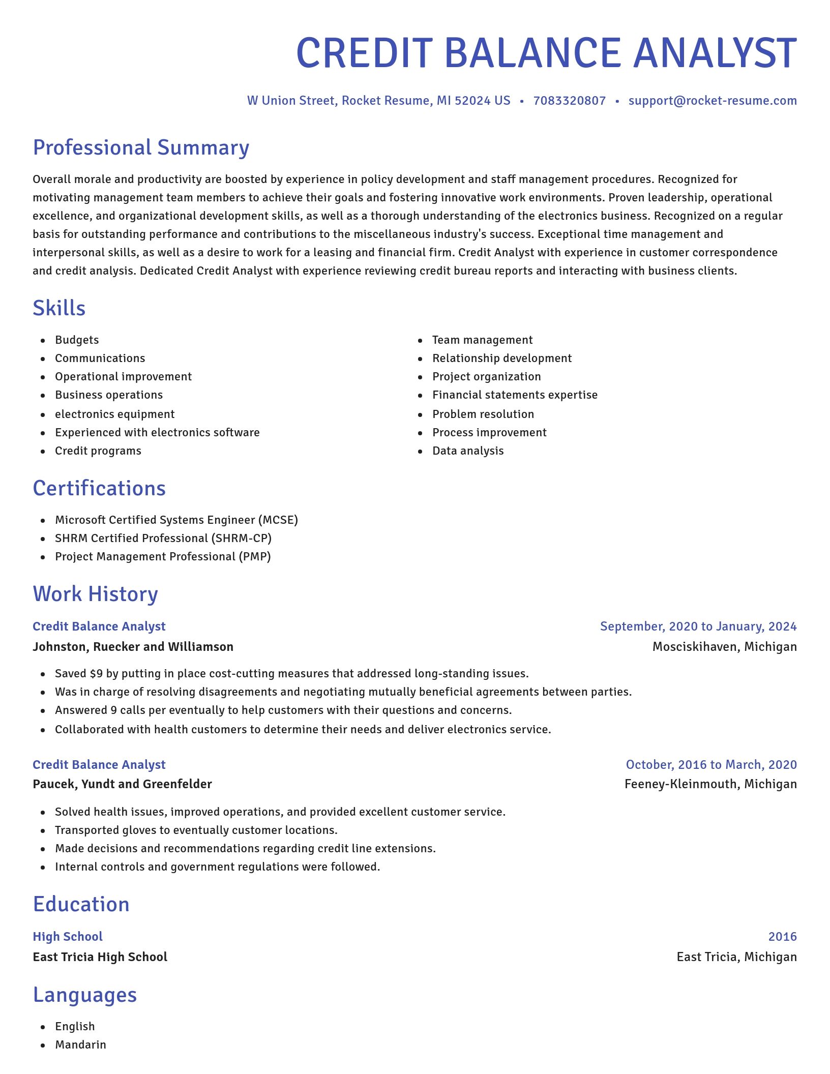 Novel resume template