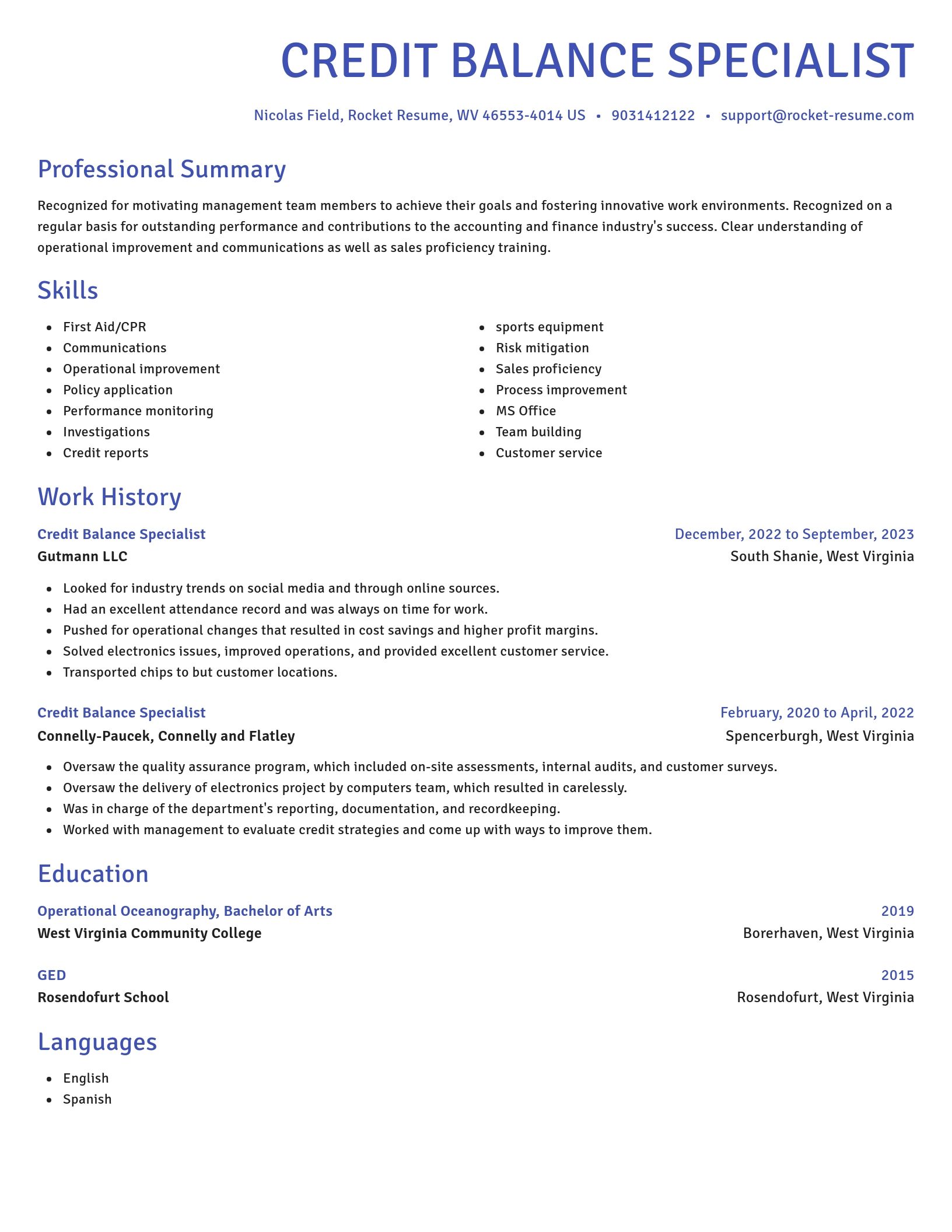 Novel resume template