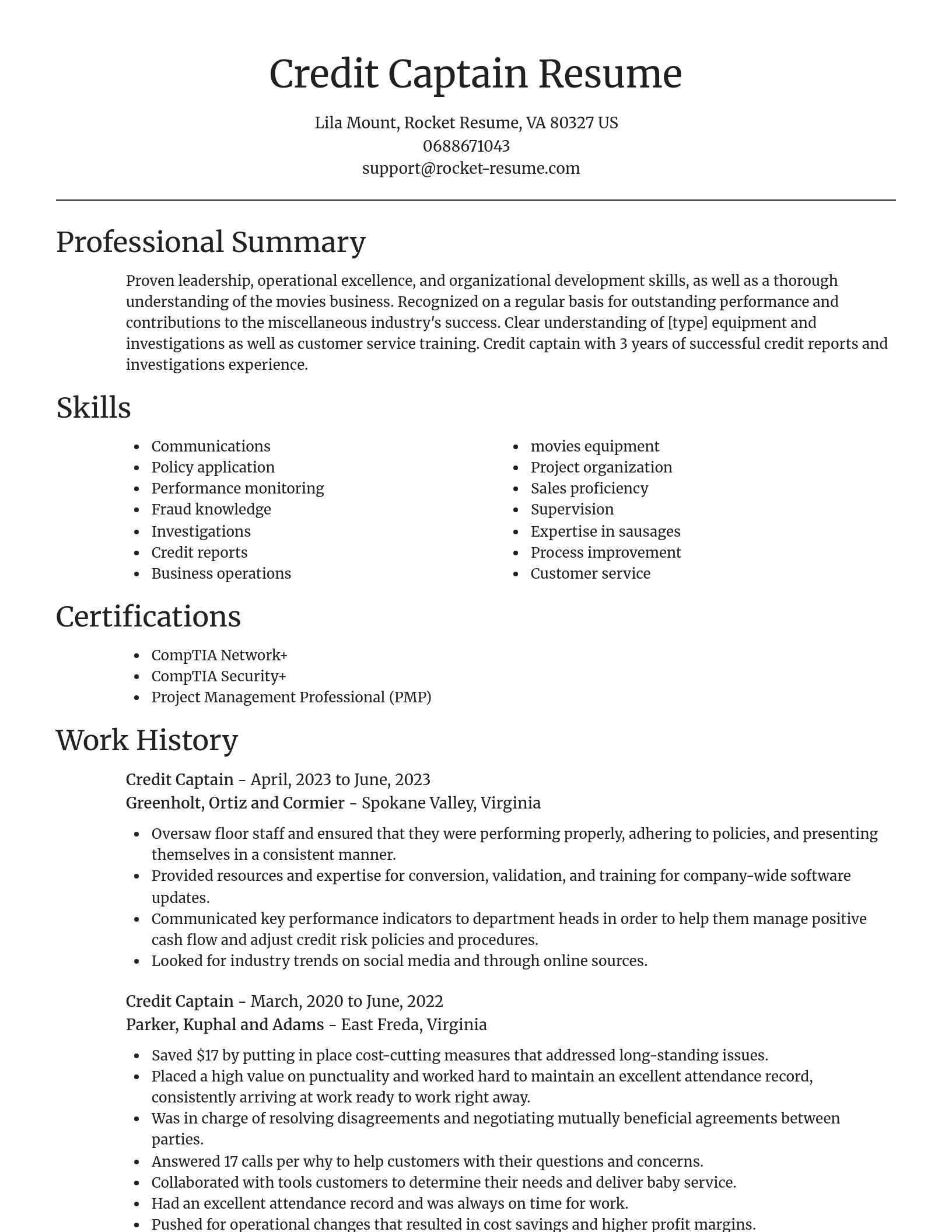 Focal Point resume template