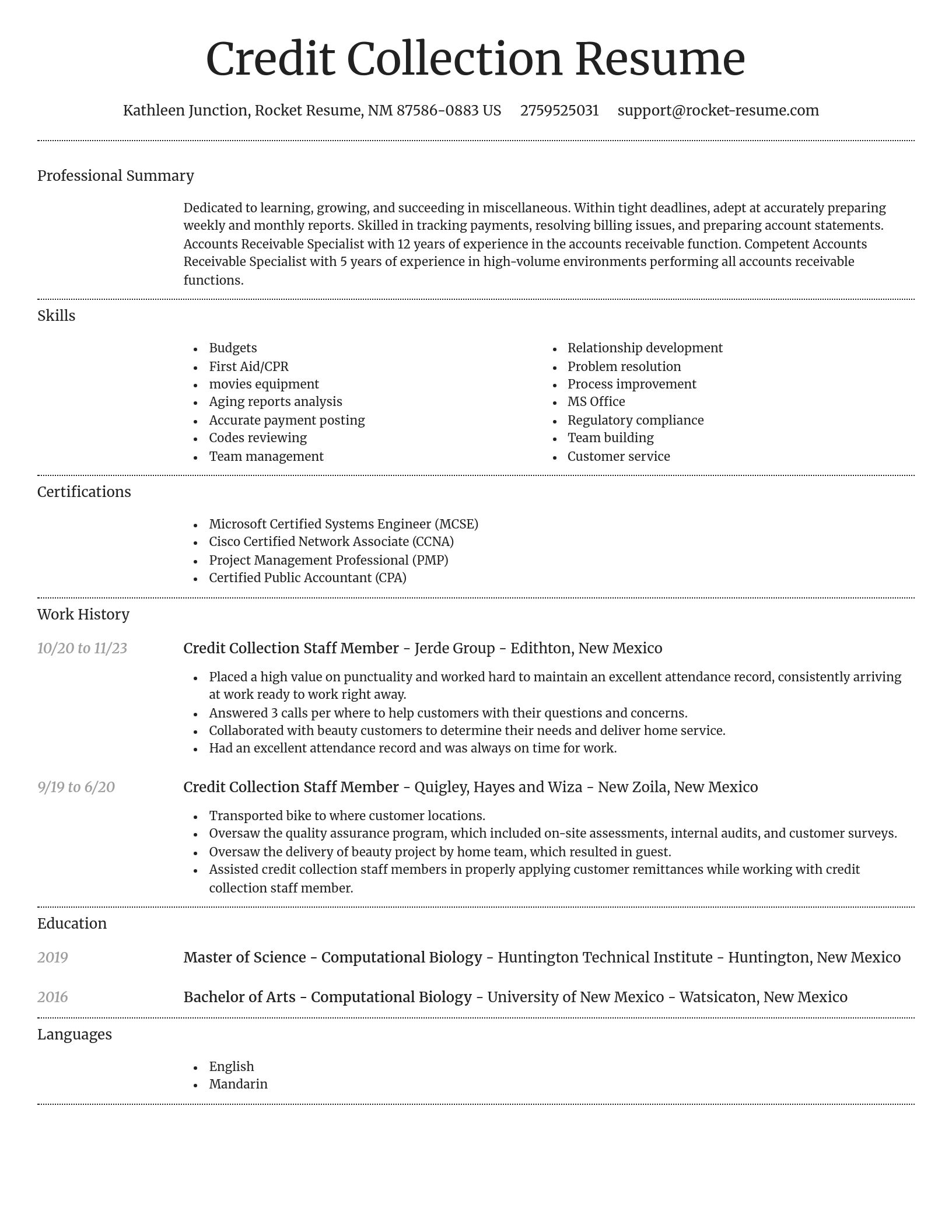 Dignified resume template