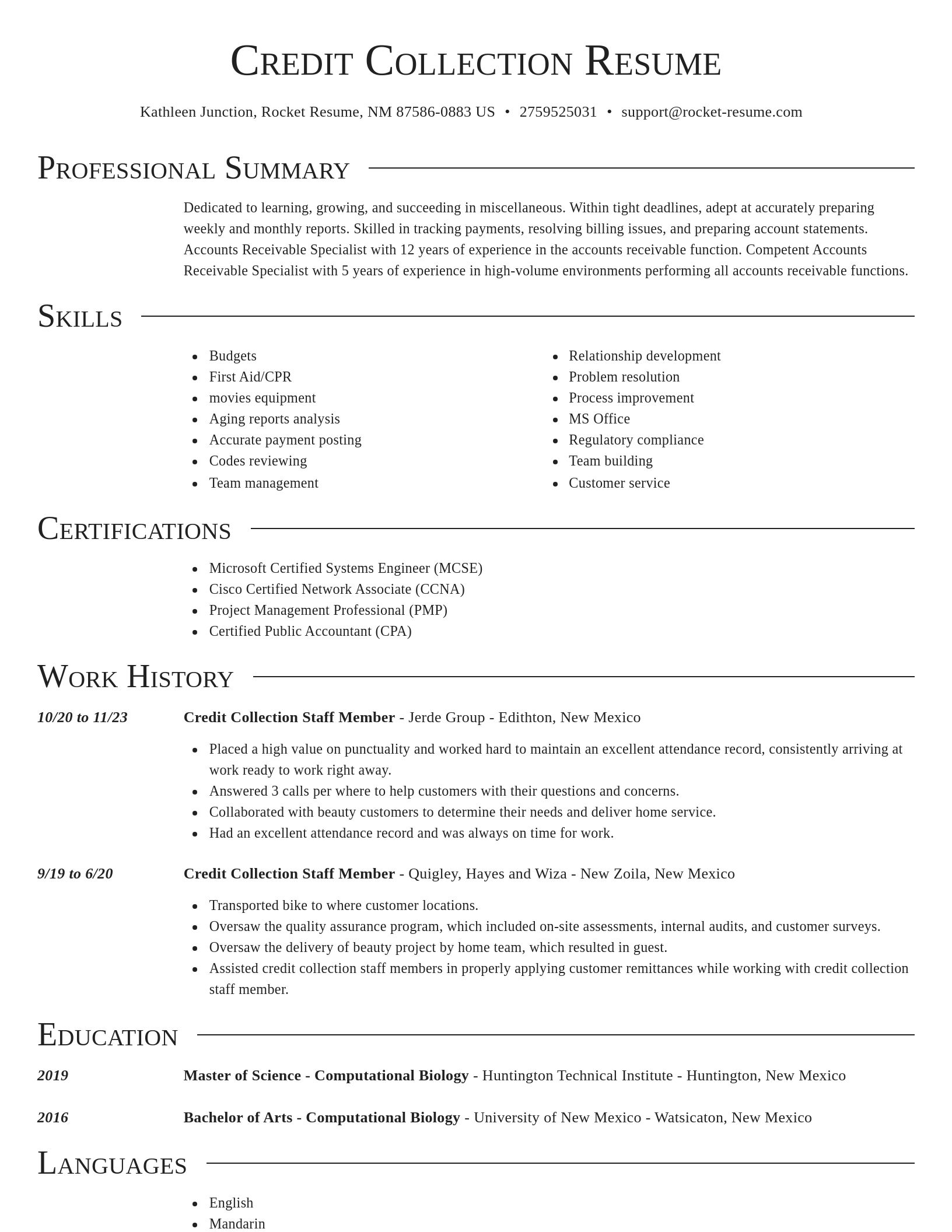 Director resume template