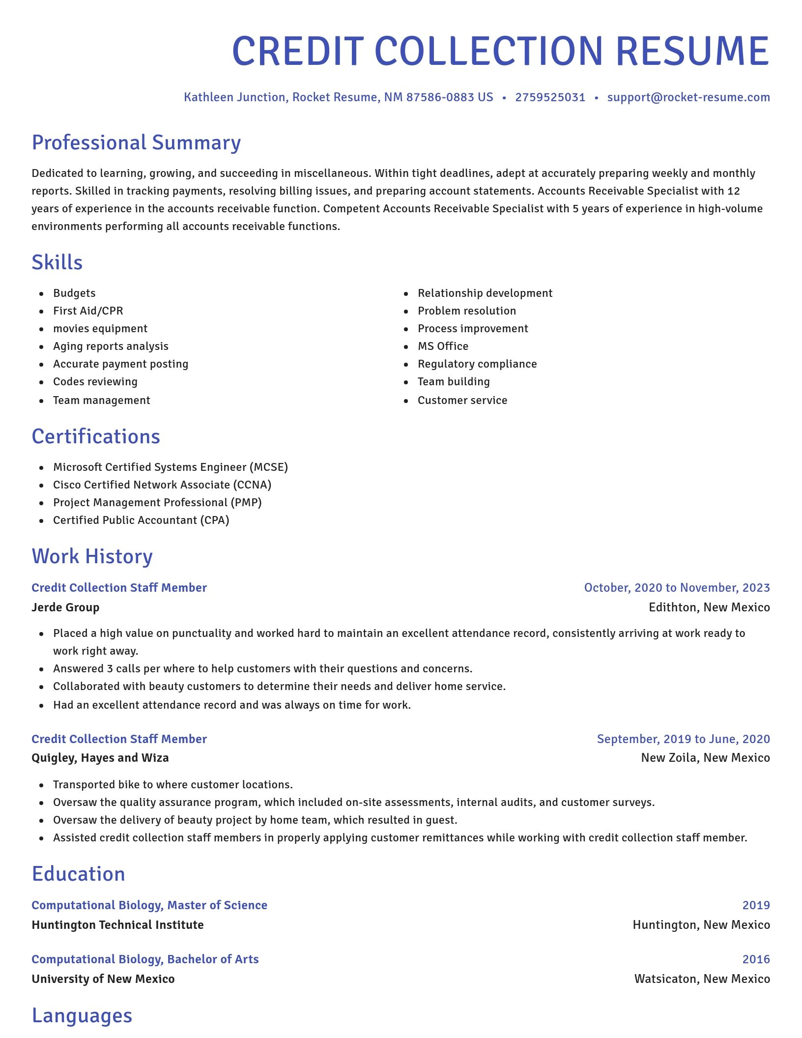 Novel resume template