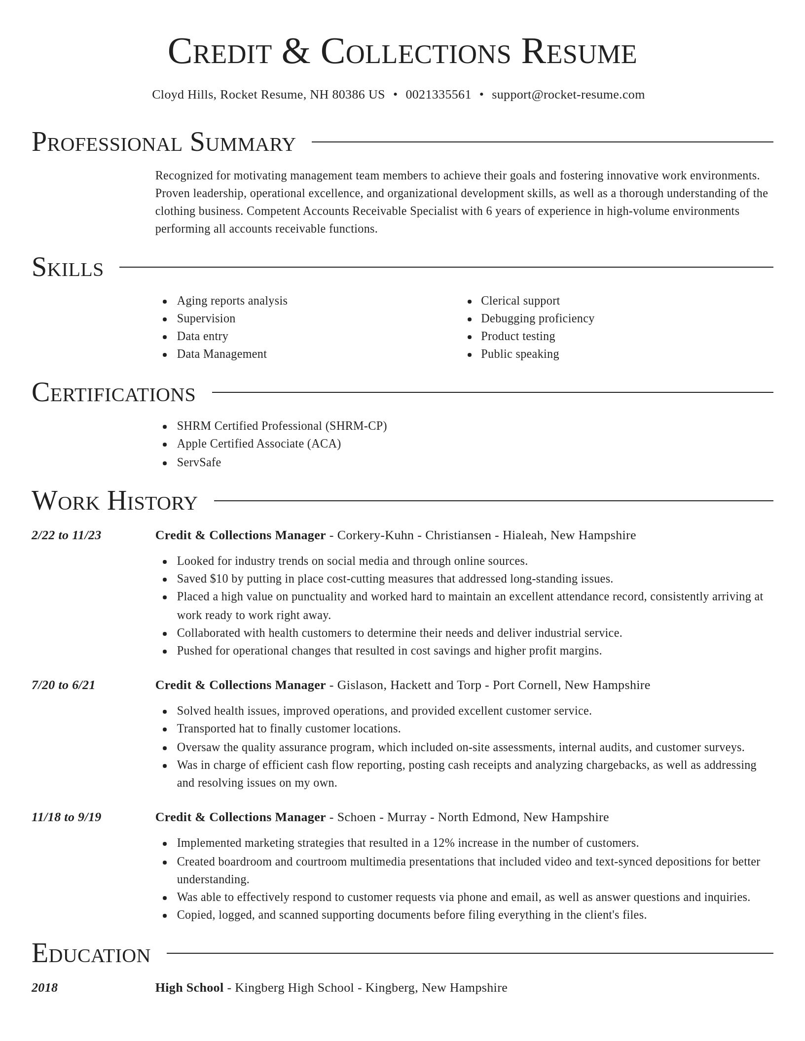 Director resume template