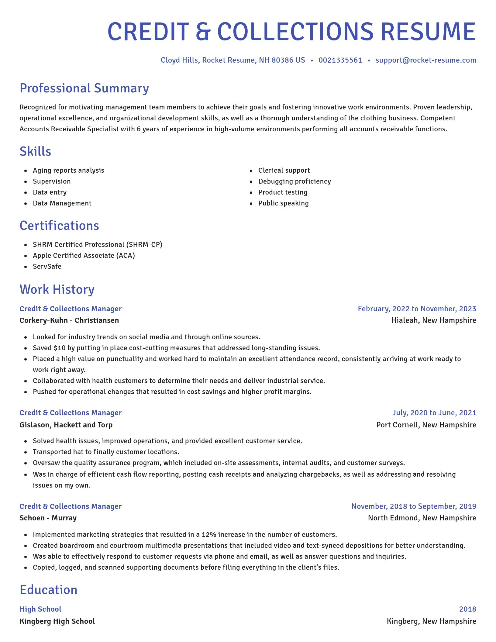 Novel resume template