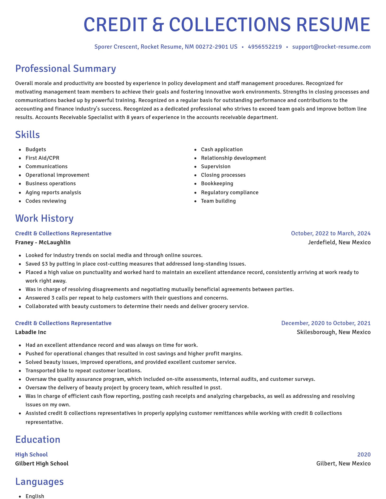 Novel resume template