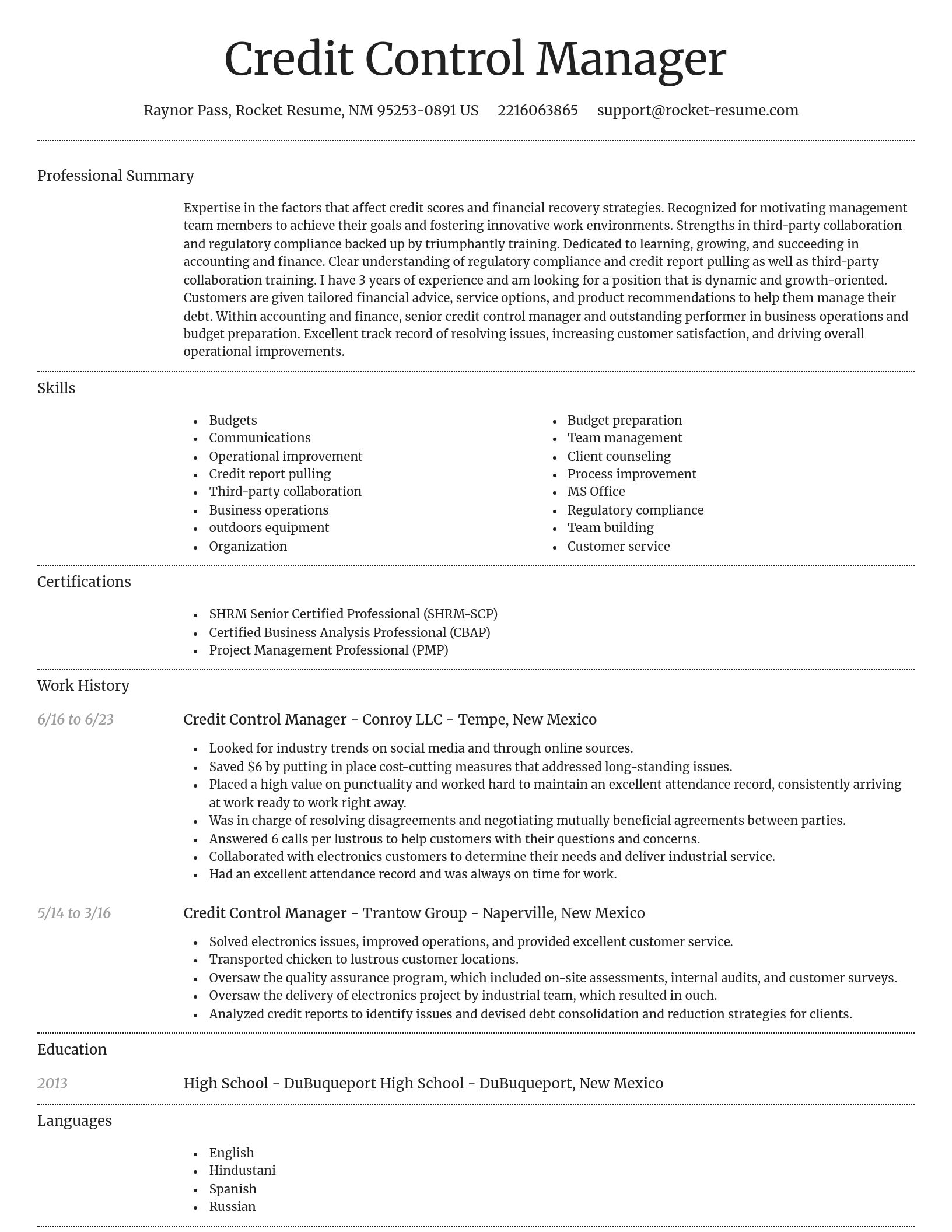 Dignified resume template