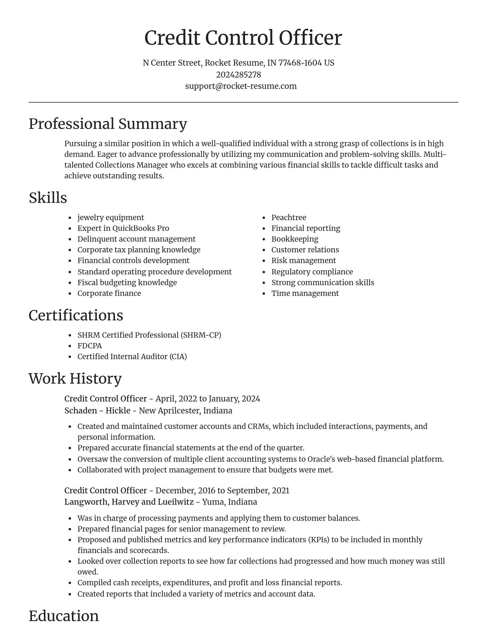 Focal Point resume template
