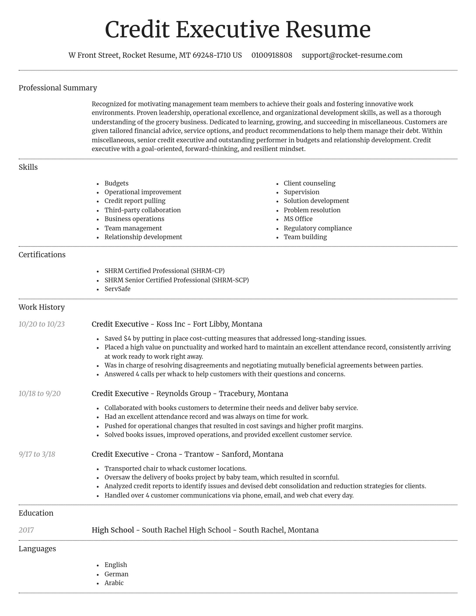 Dignified resume template