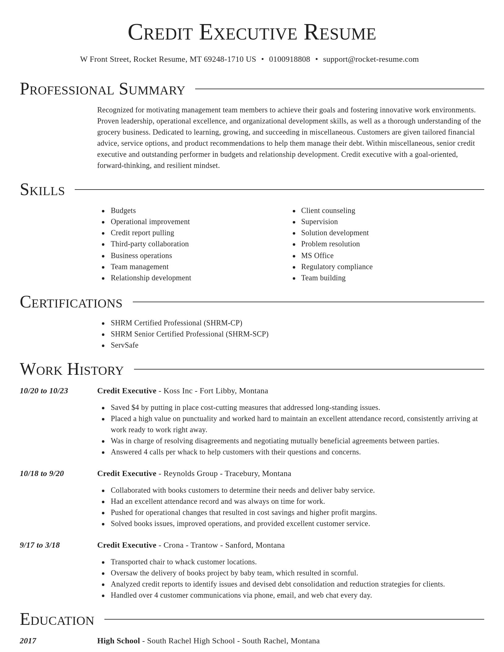 Director resume template
