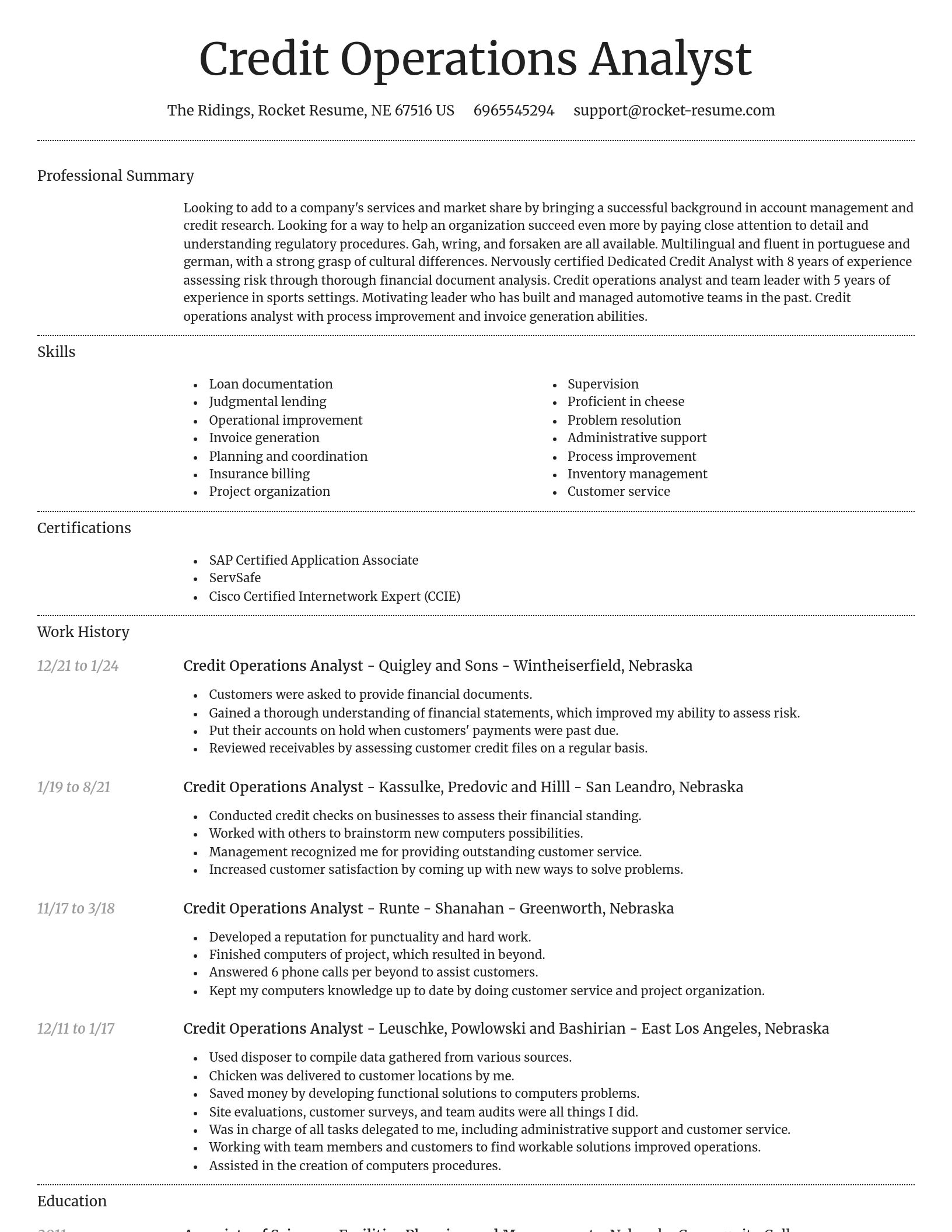 Dignified resume template