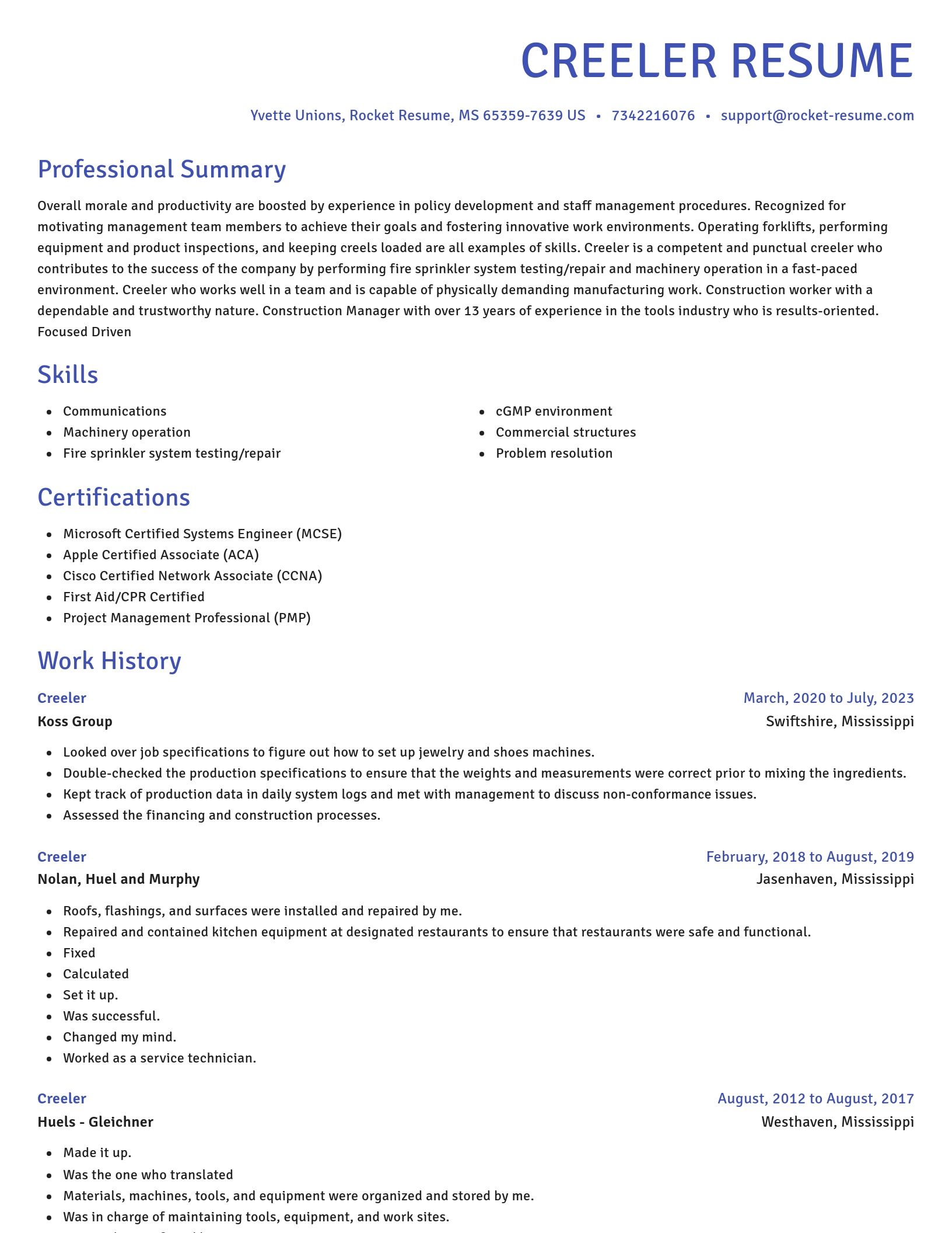 Novel resume template