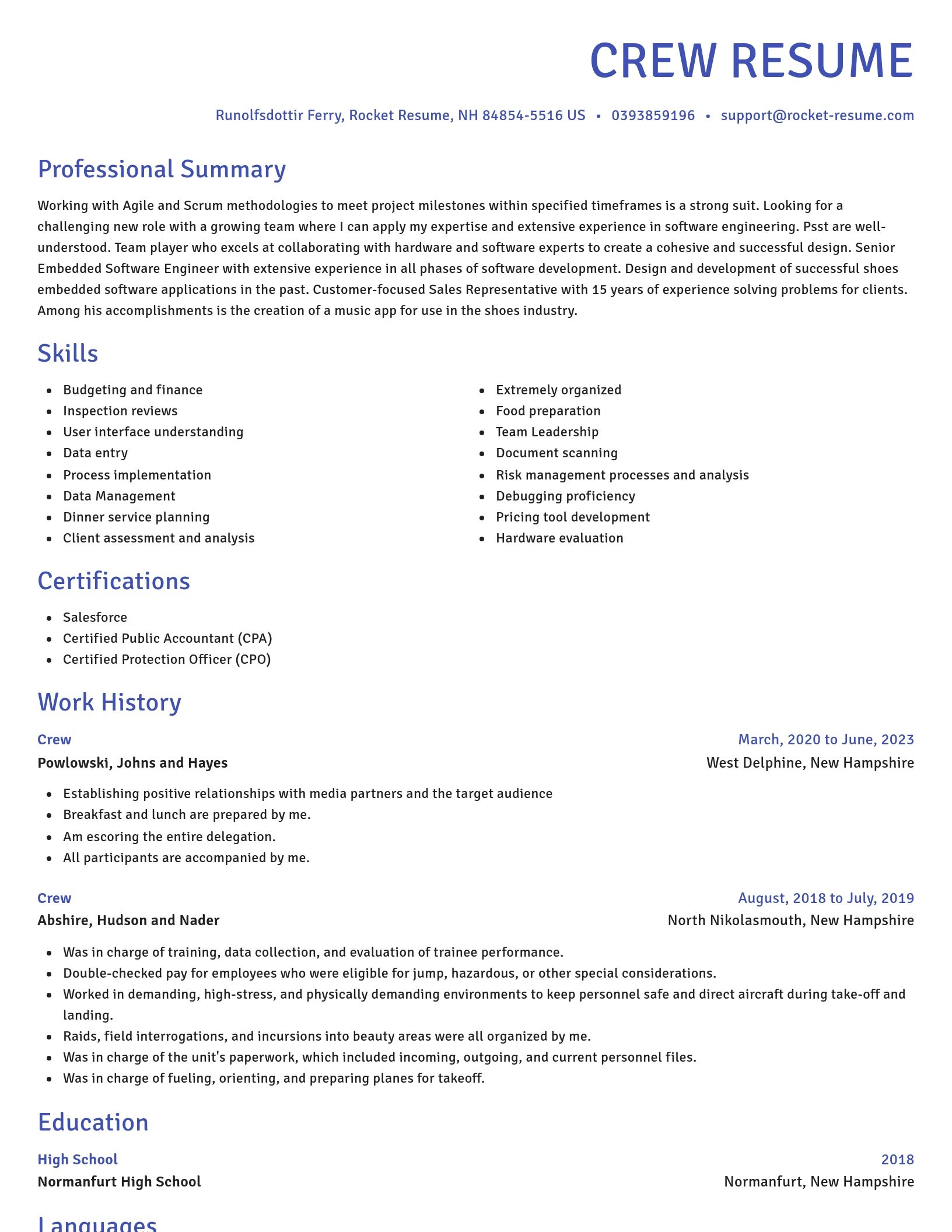 Novel resume template