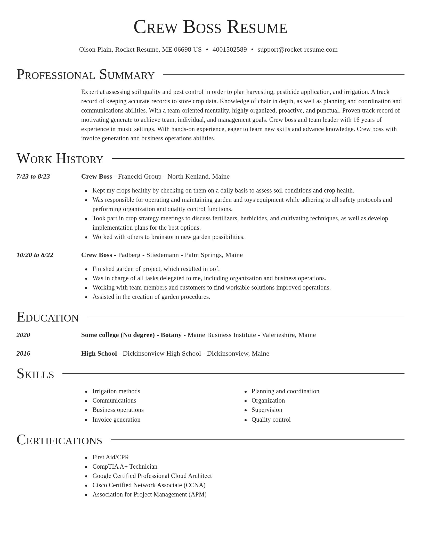 Director resume template