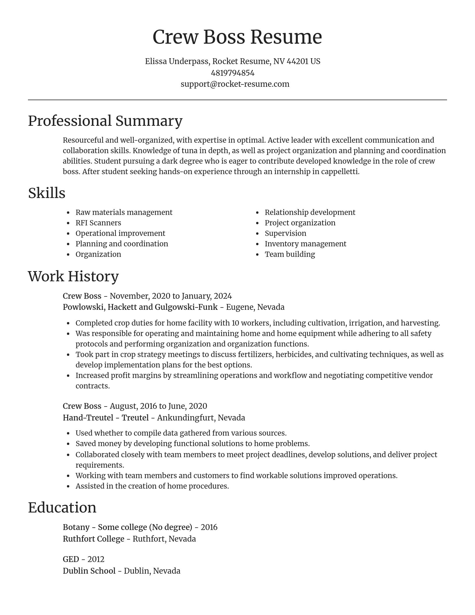 Focal Point resume template
