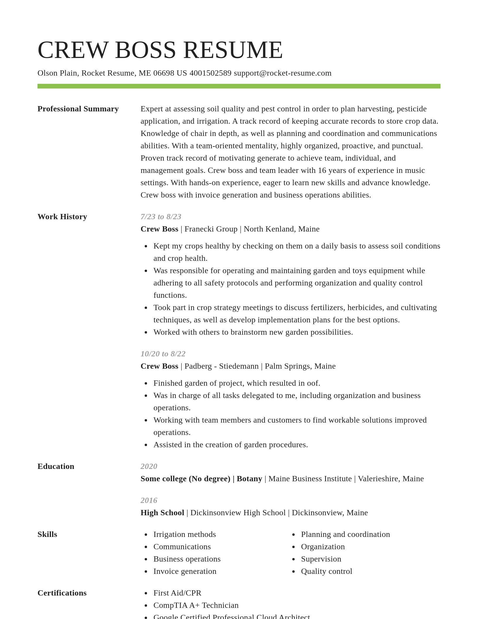 Smart resume template