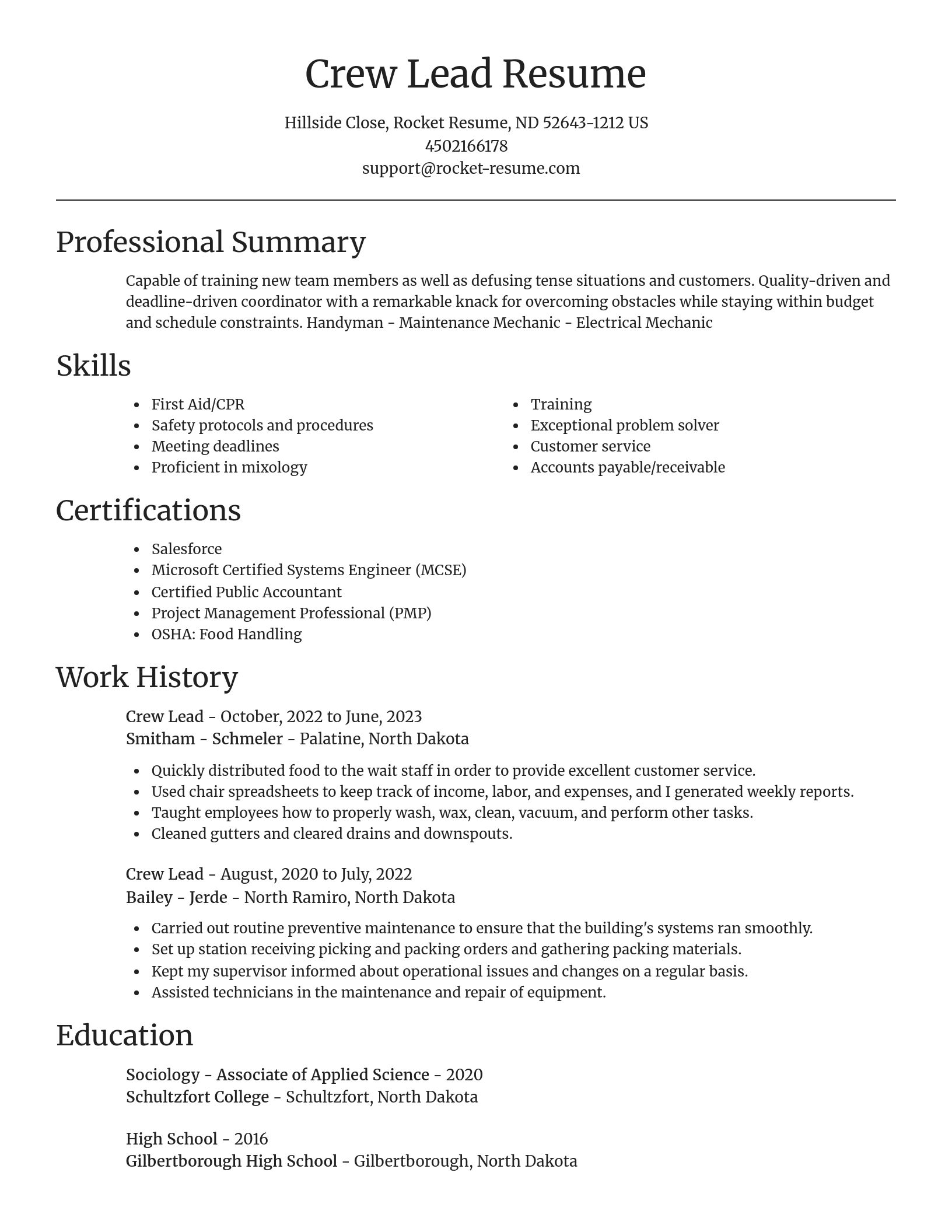 Focal Point resume template