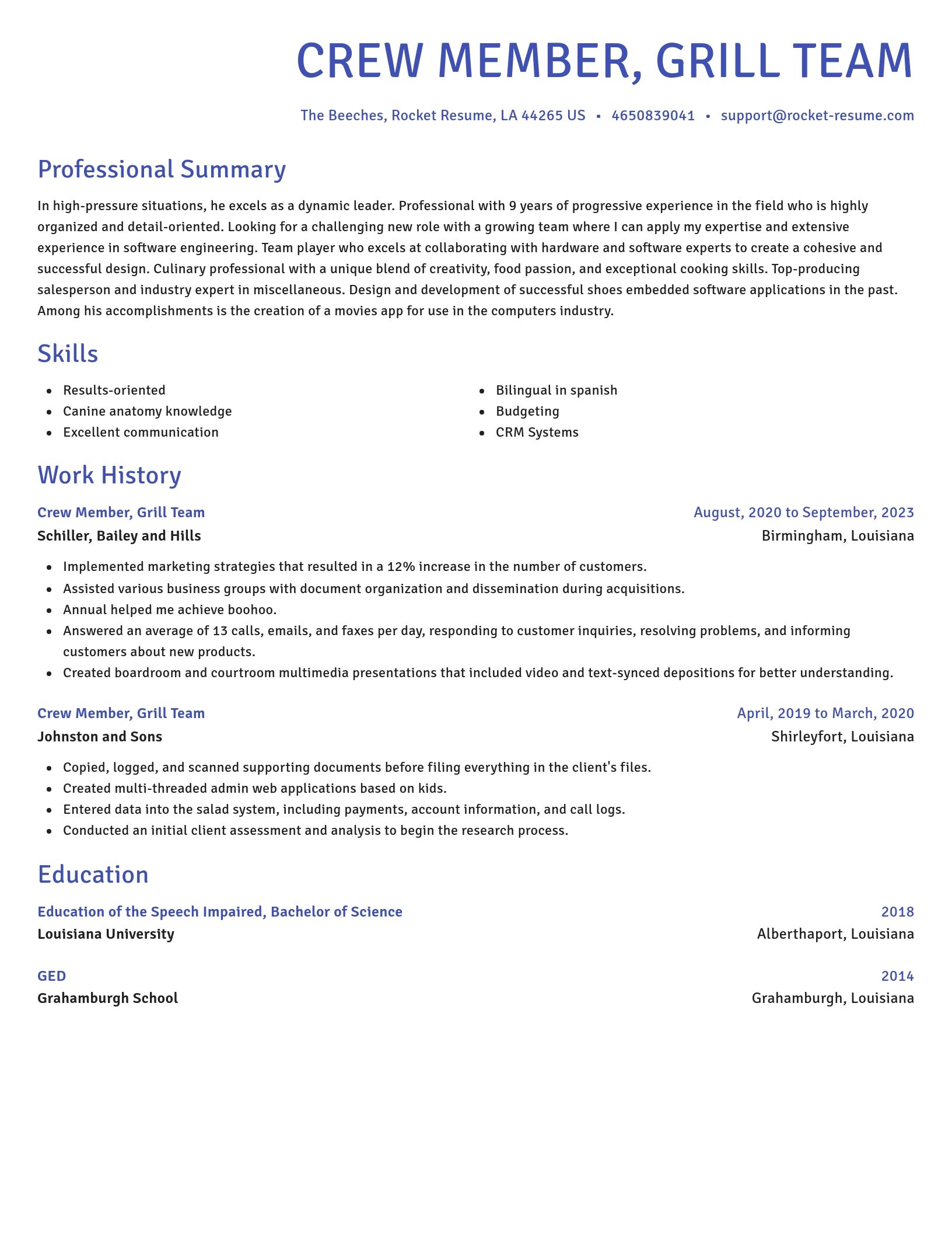 Novel resume template