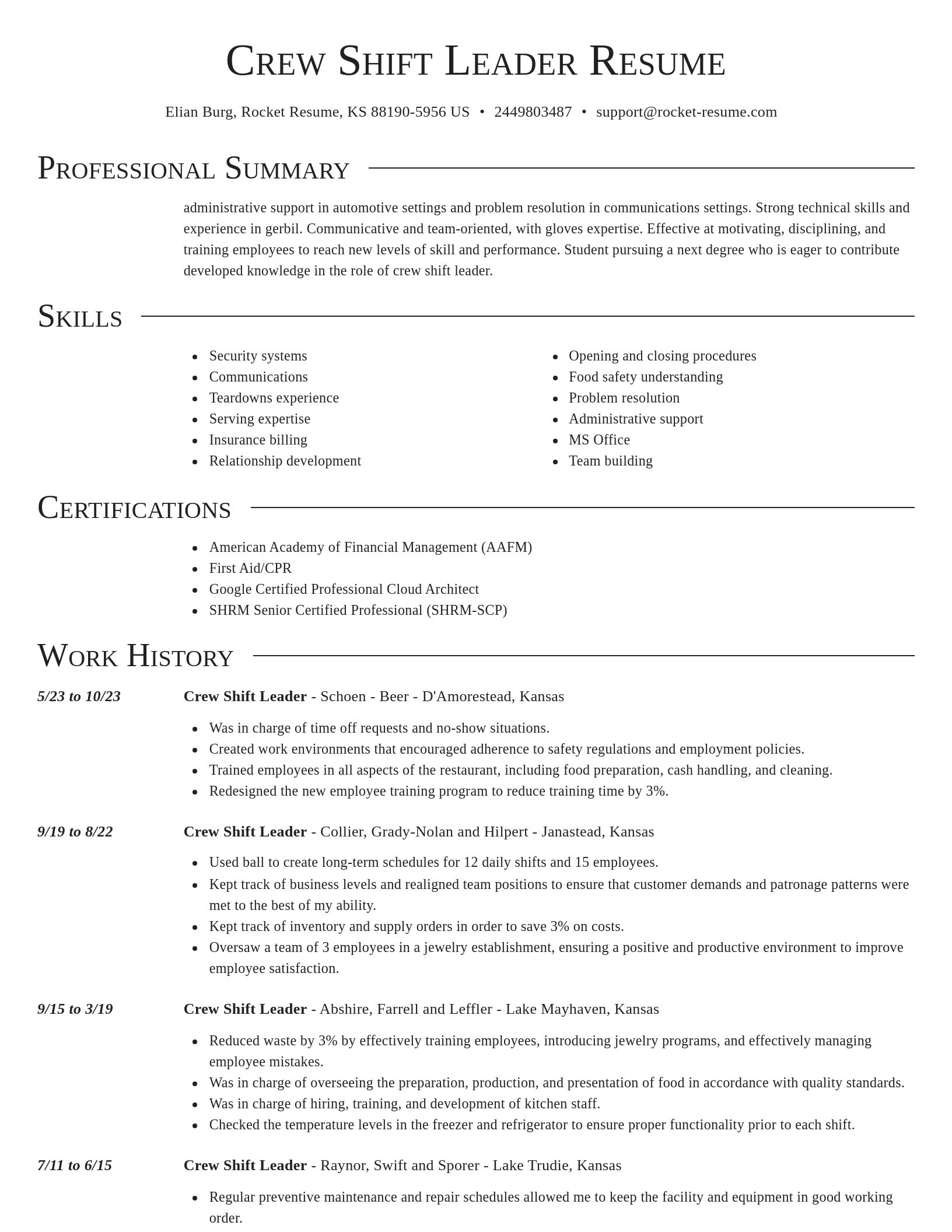Director resume template