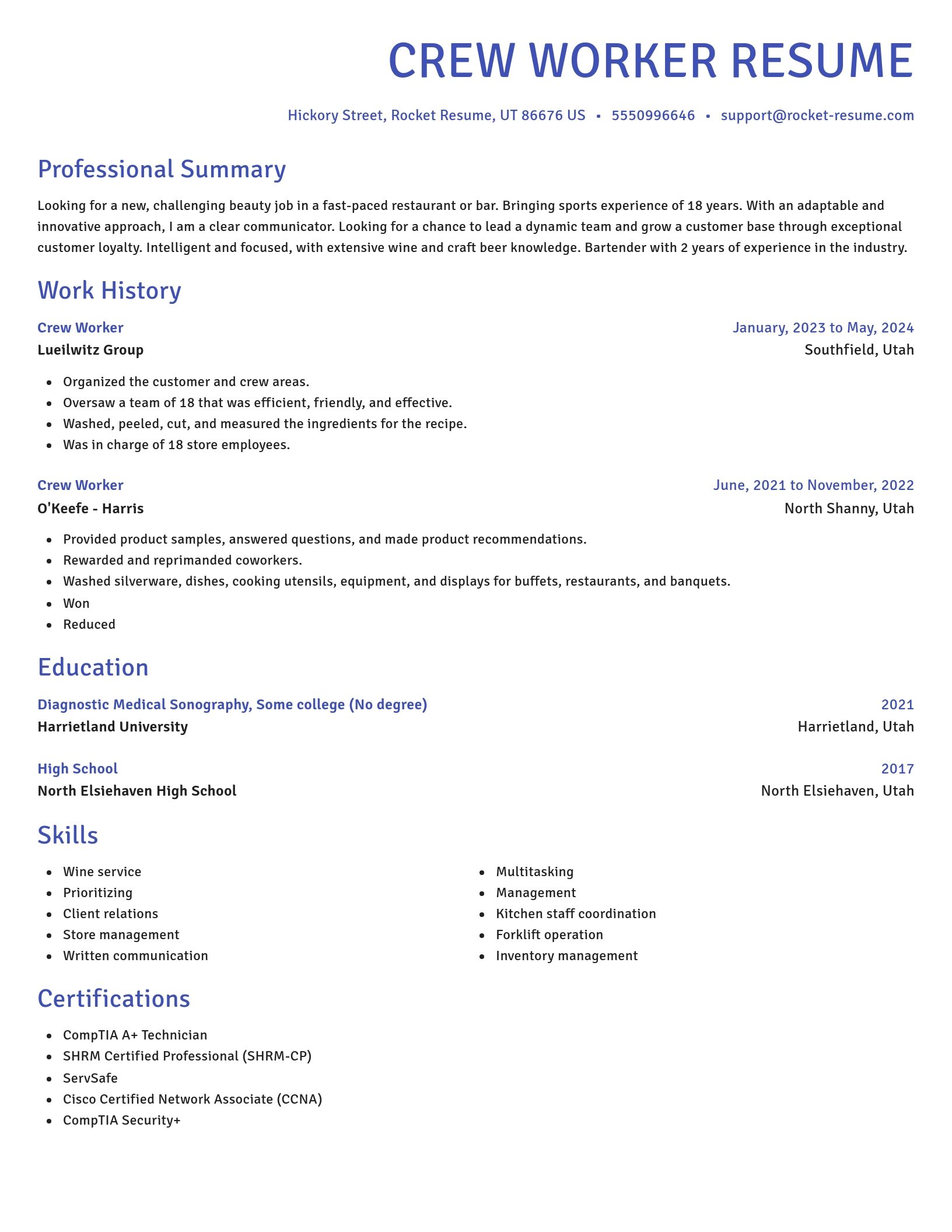 Novel resume template