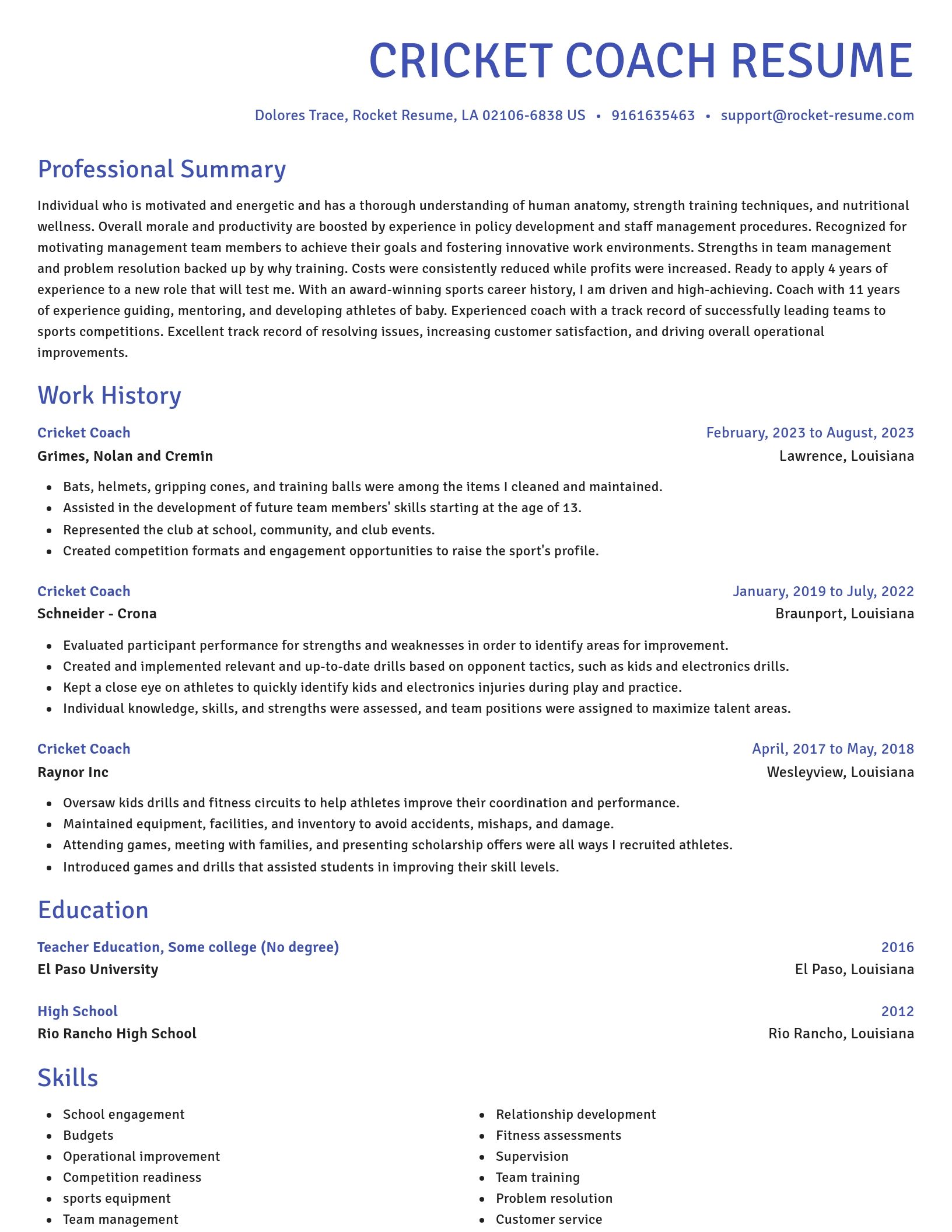 Novel resume template