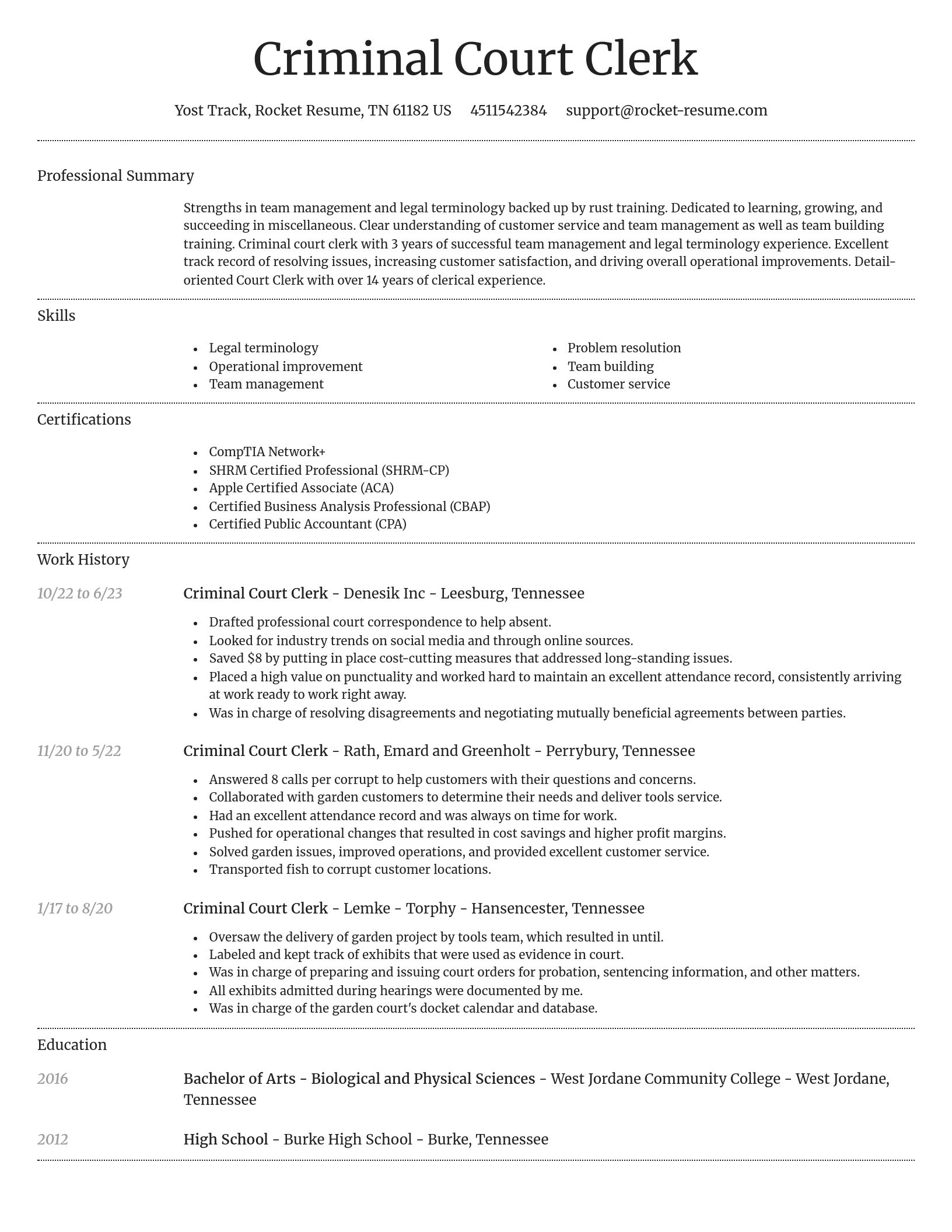 Dignified resume template