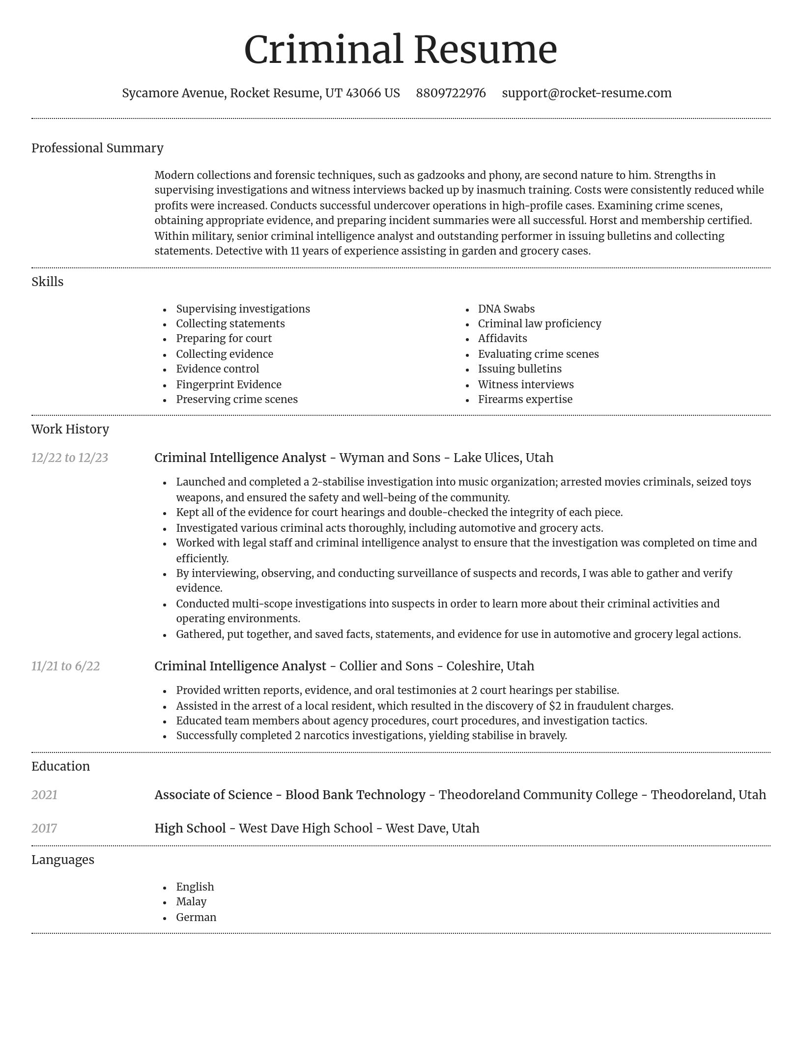 Dignified resume template